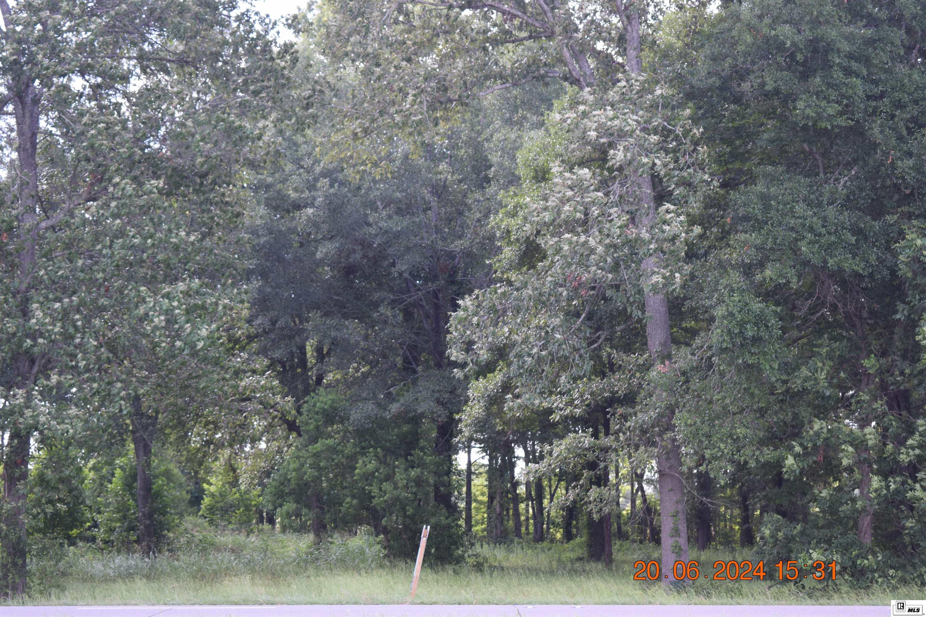 11741 Highway 165