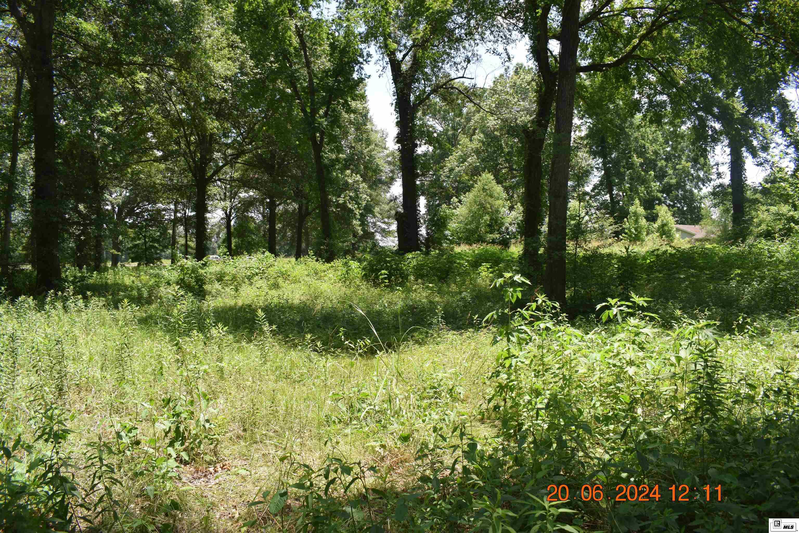 11741 Highway 165