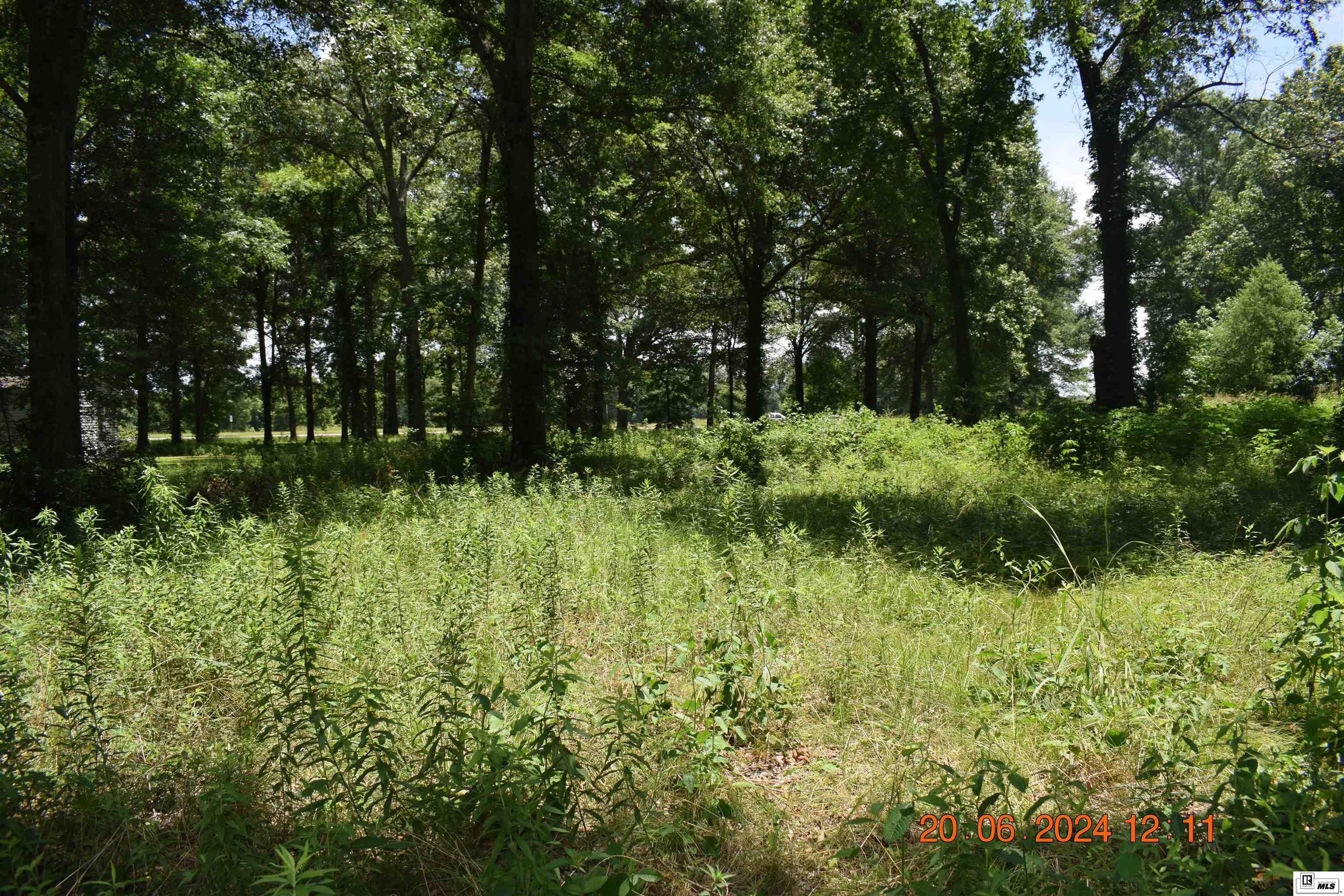 11741 Highway 165