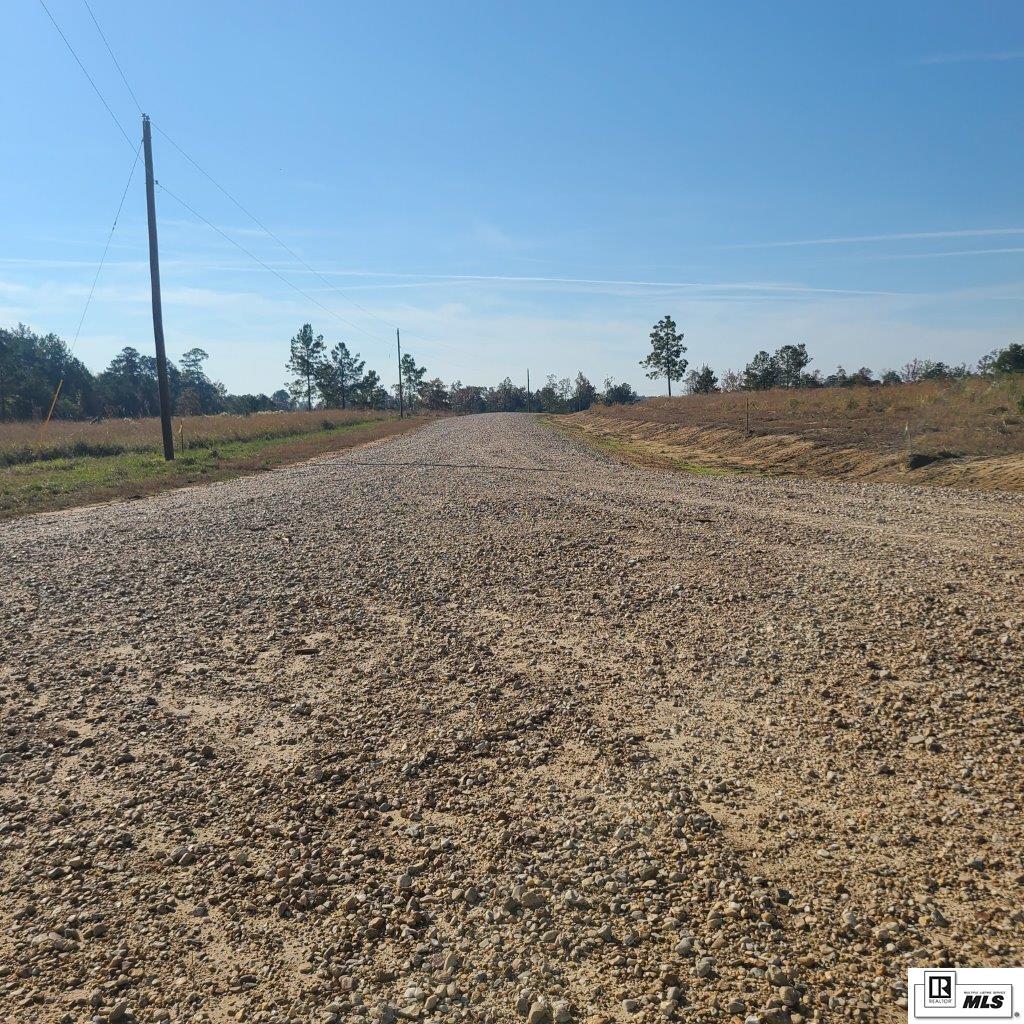 193 Simba Lane Lot 10