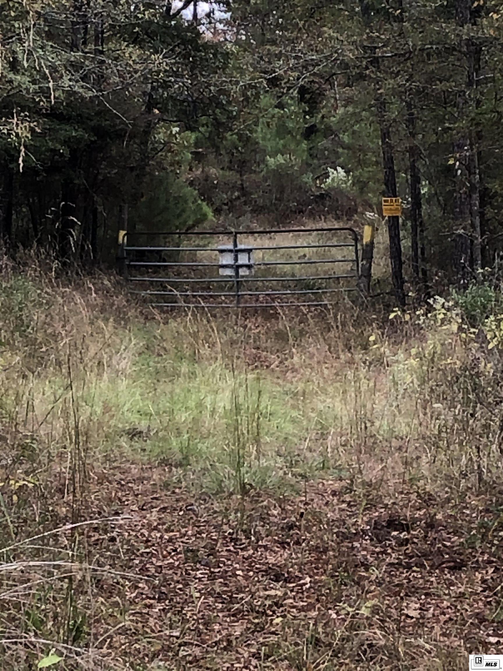 000 Big Buck Road