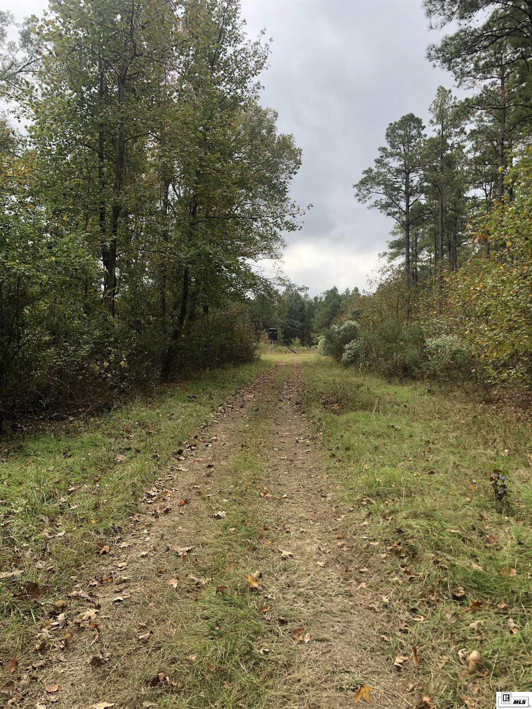 000 Big Buck Road