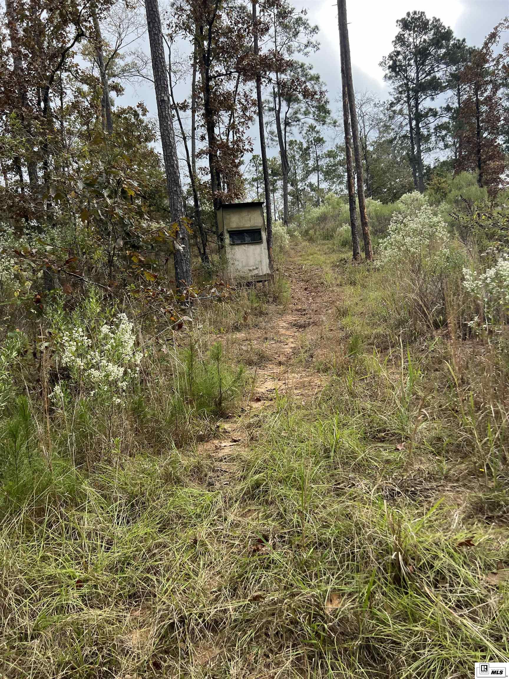 000 Big Buck Road