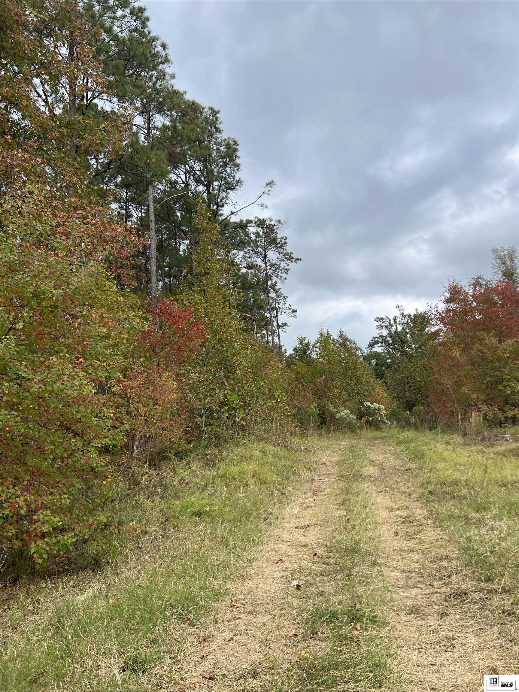 000 Big Buck Road