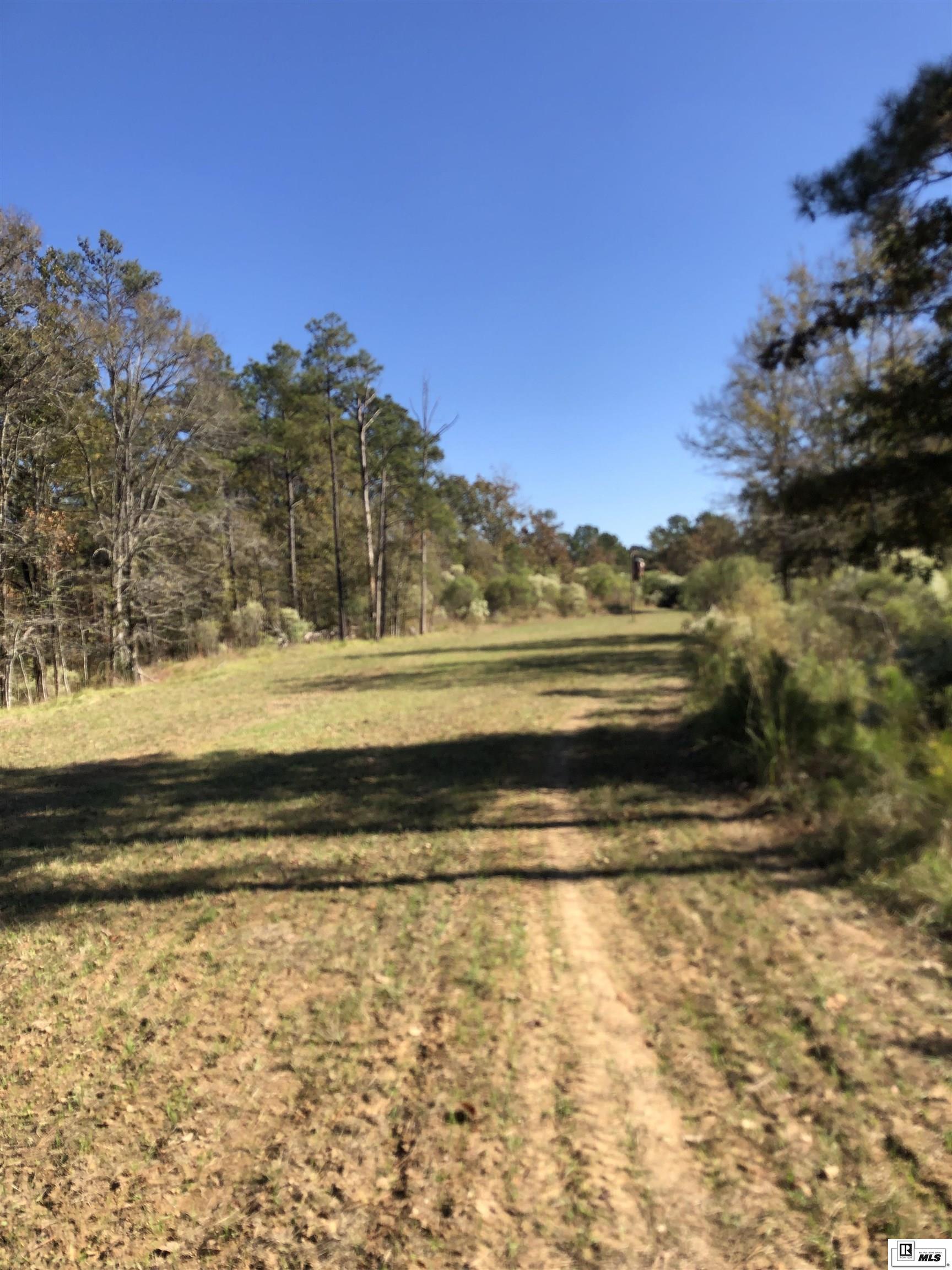 000 Big Buck Road