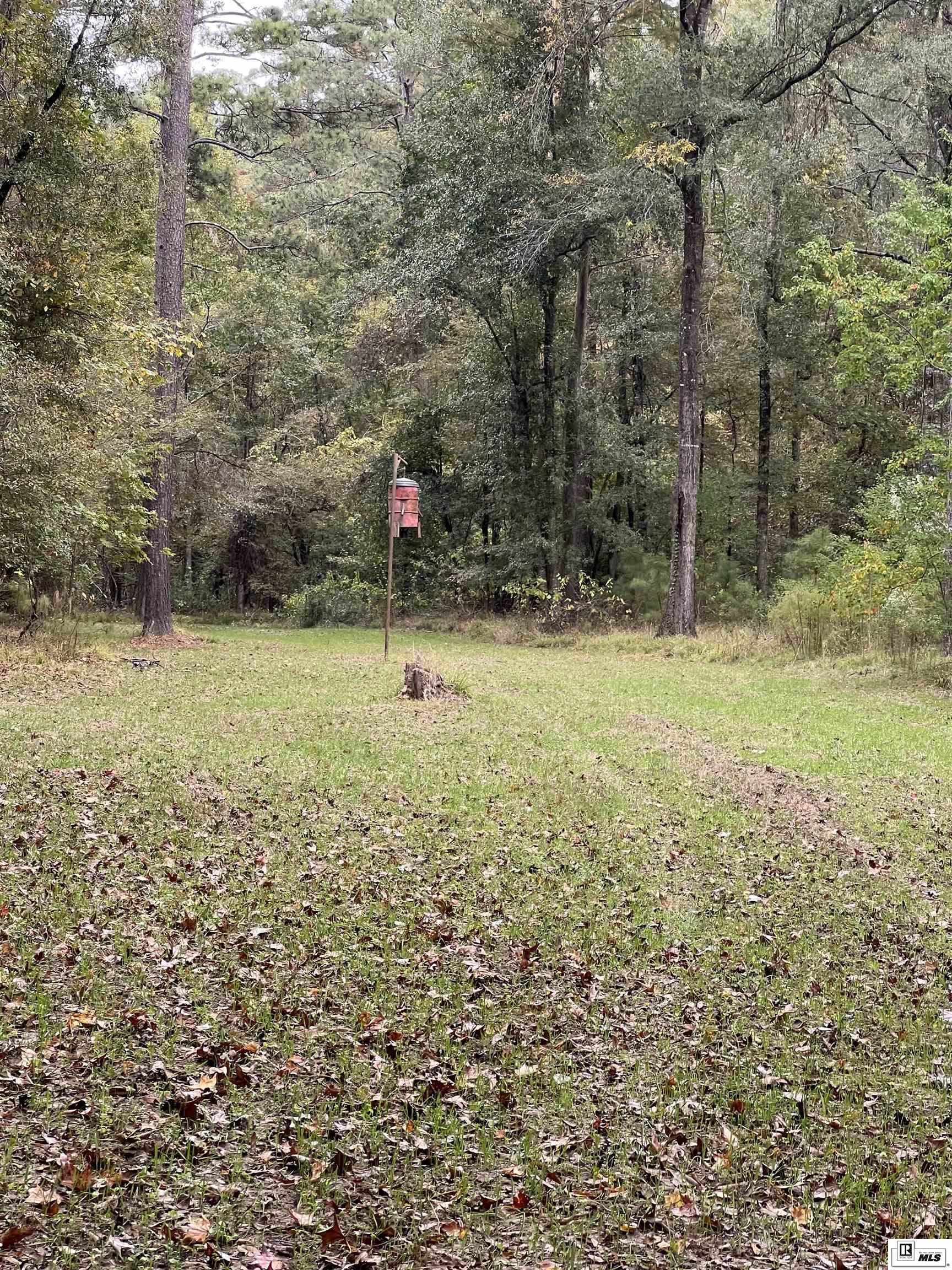 000 Big Buck Road