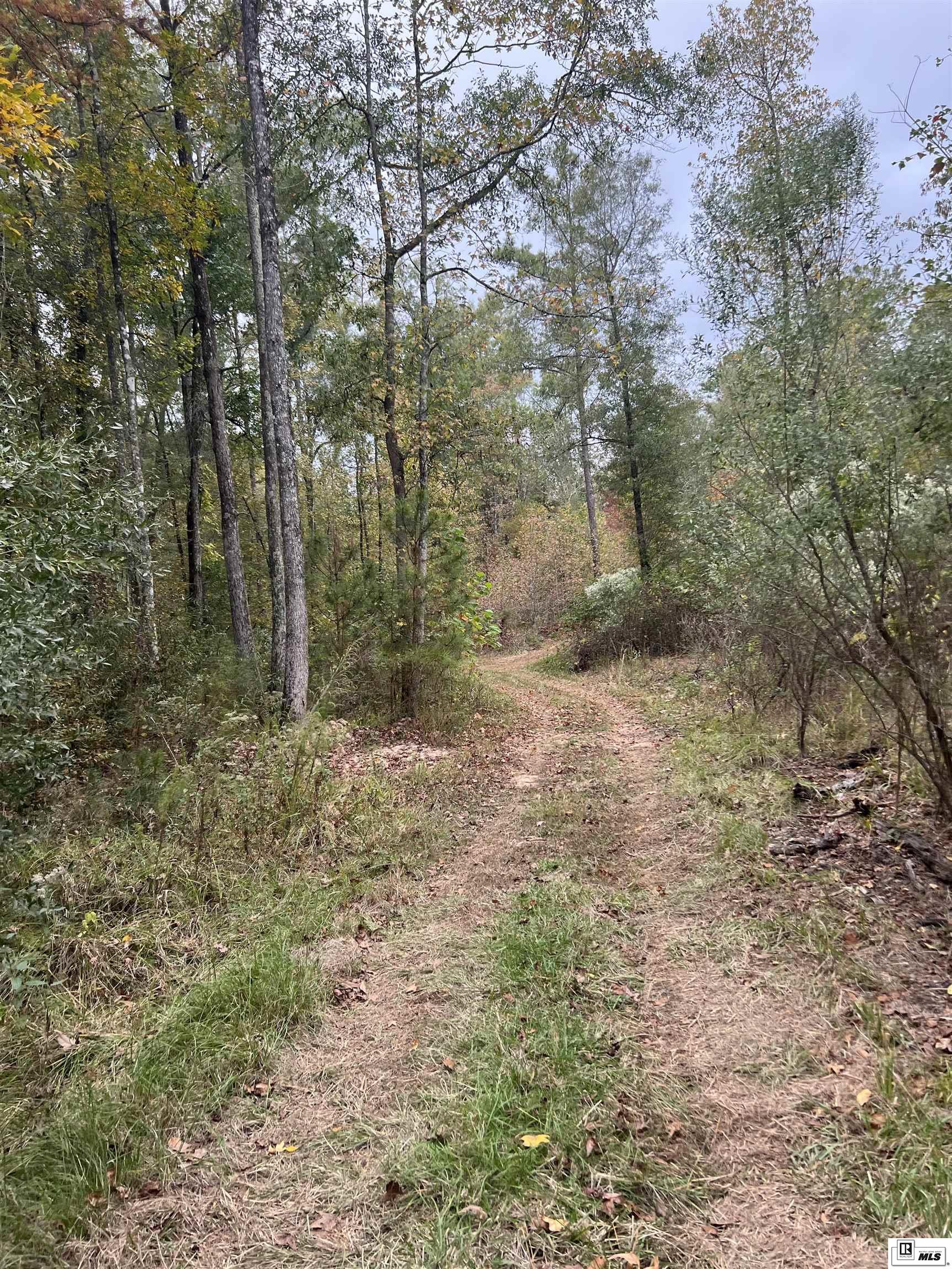 000 Big Buck Road