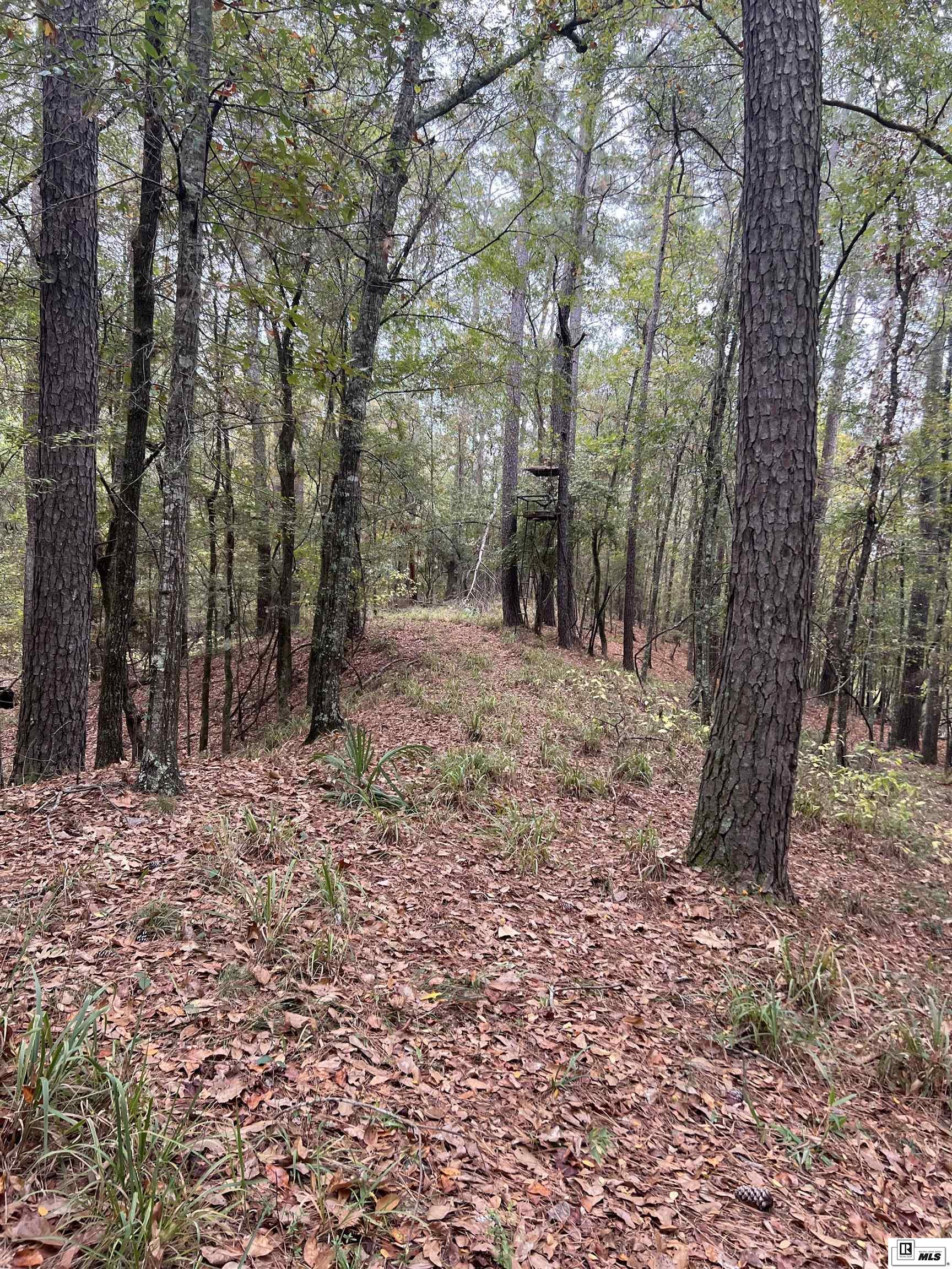 000 Big Buck Road