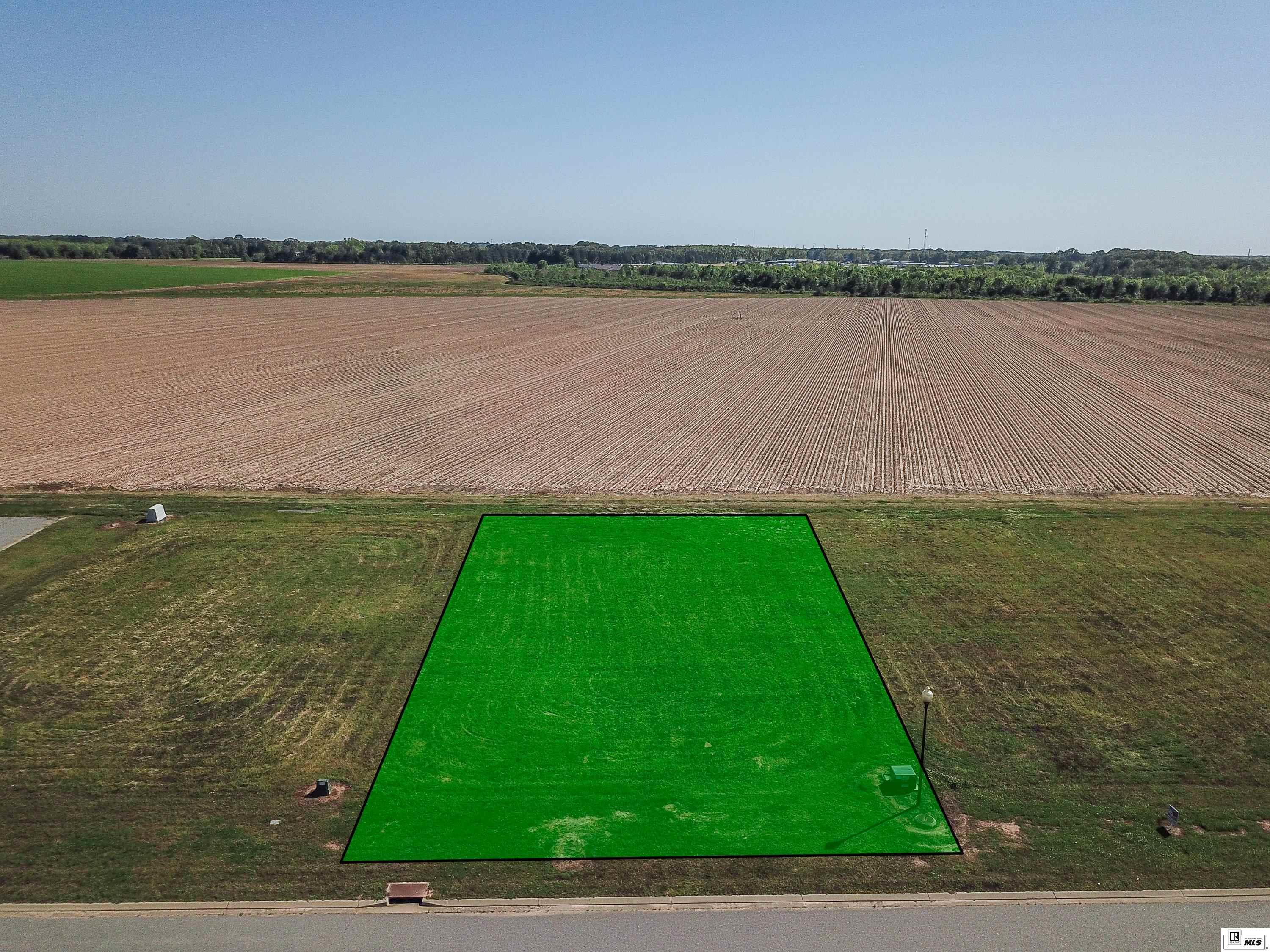 326 Cotton Trace