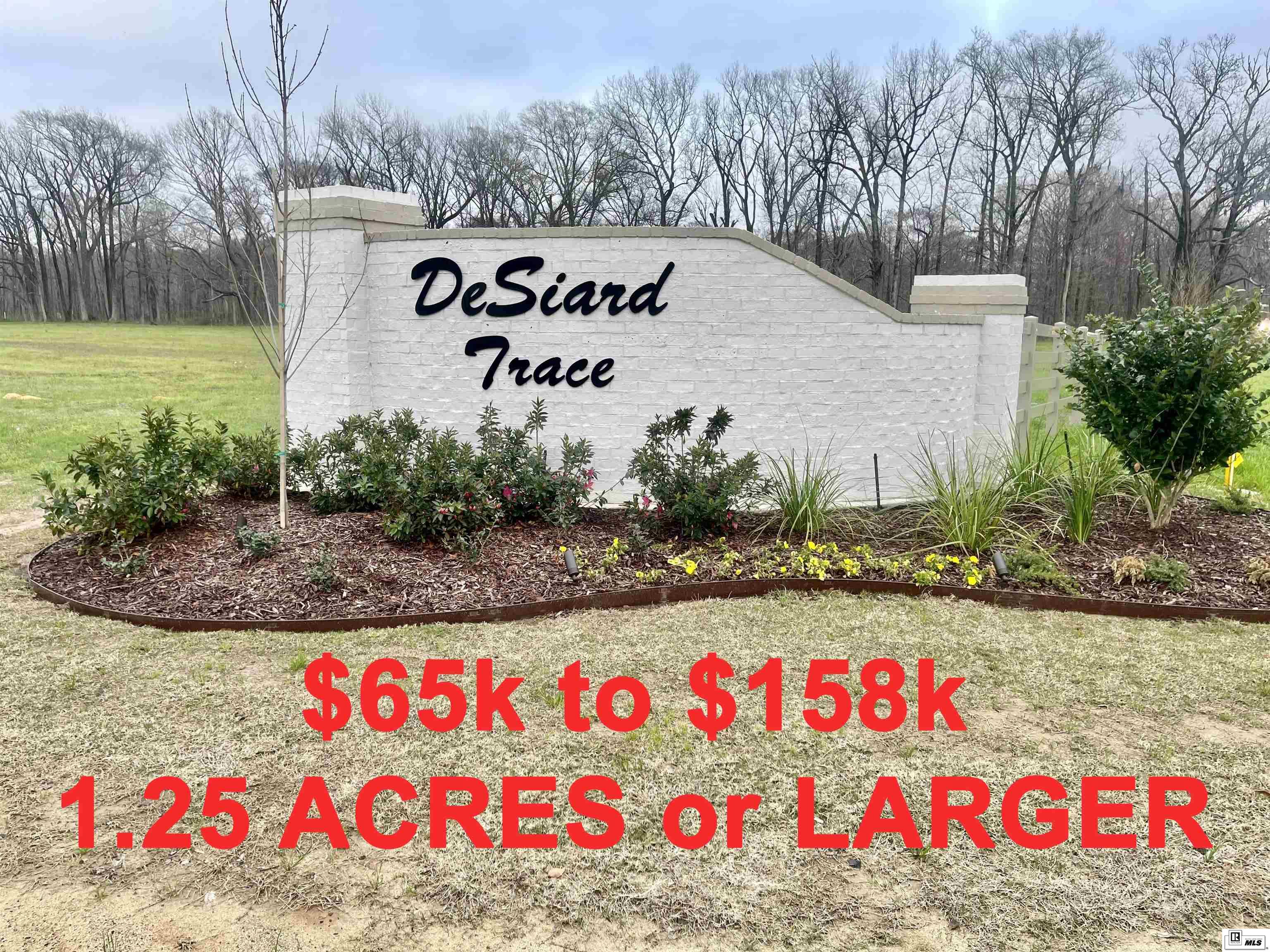 9423 Desiard Trace Lot 28