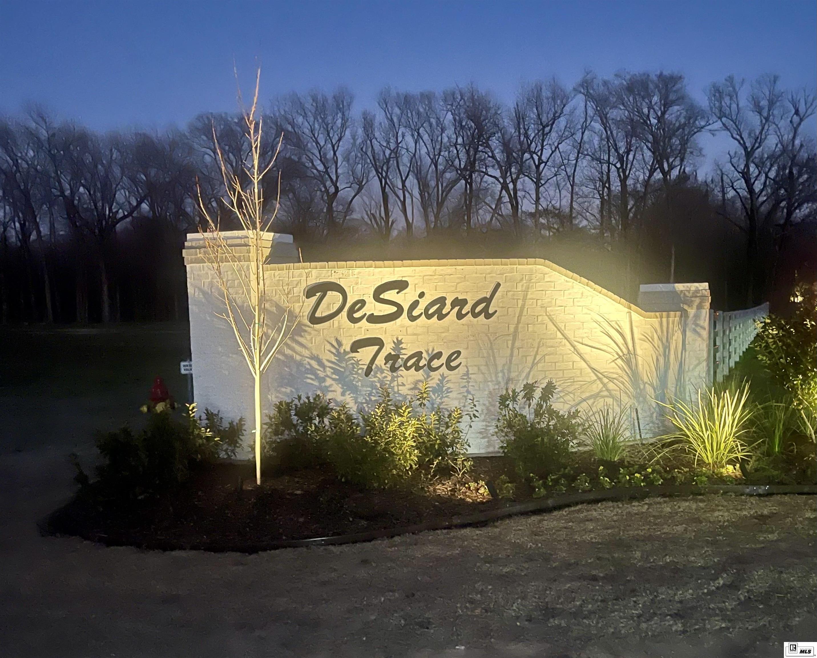 9423 Desiard Trace Lot 28