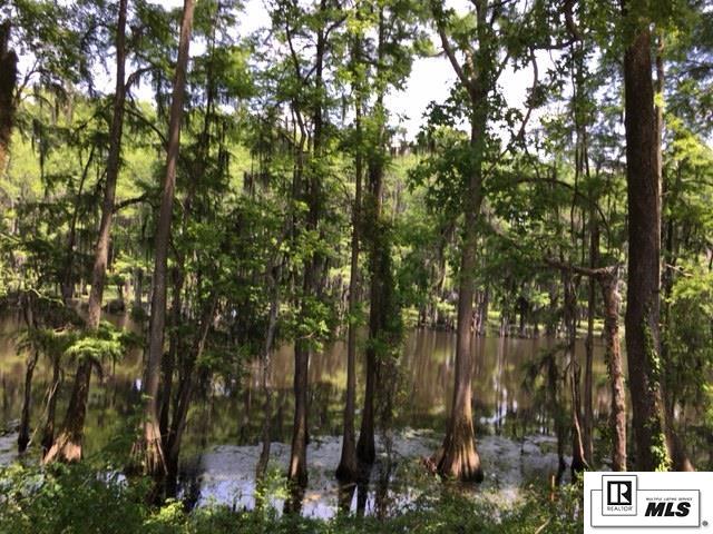 9218 Desiard Trace Lot 47