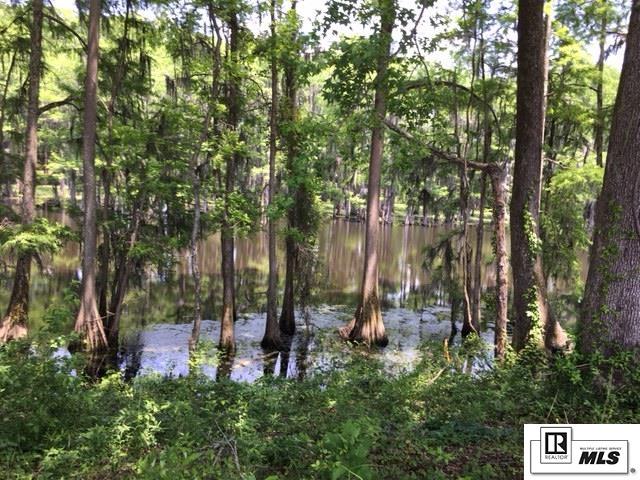 9338 Desiard Trace Lot 38