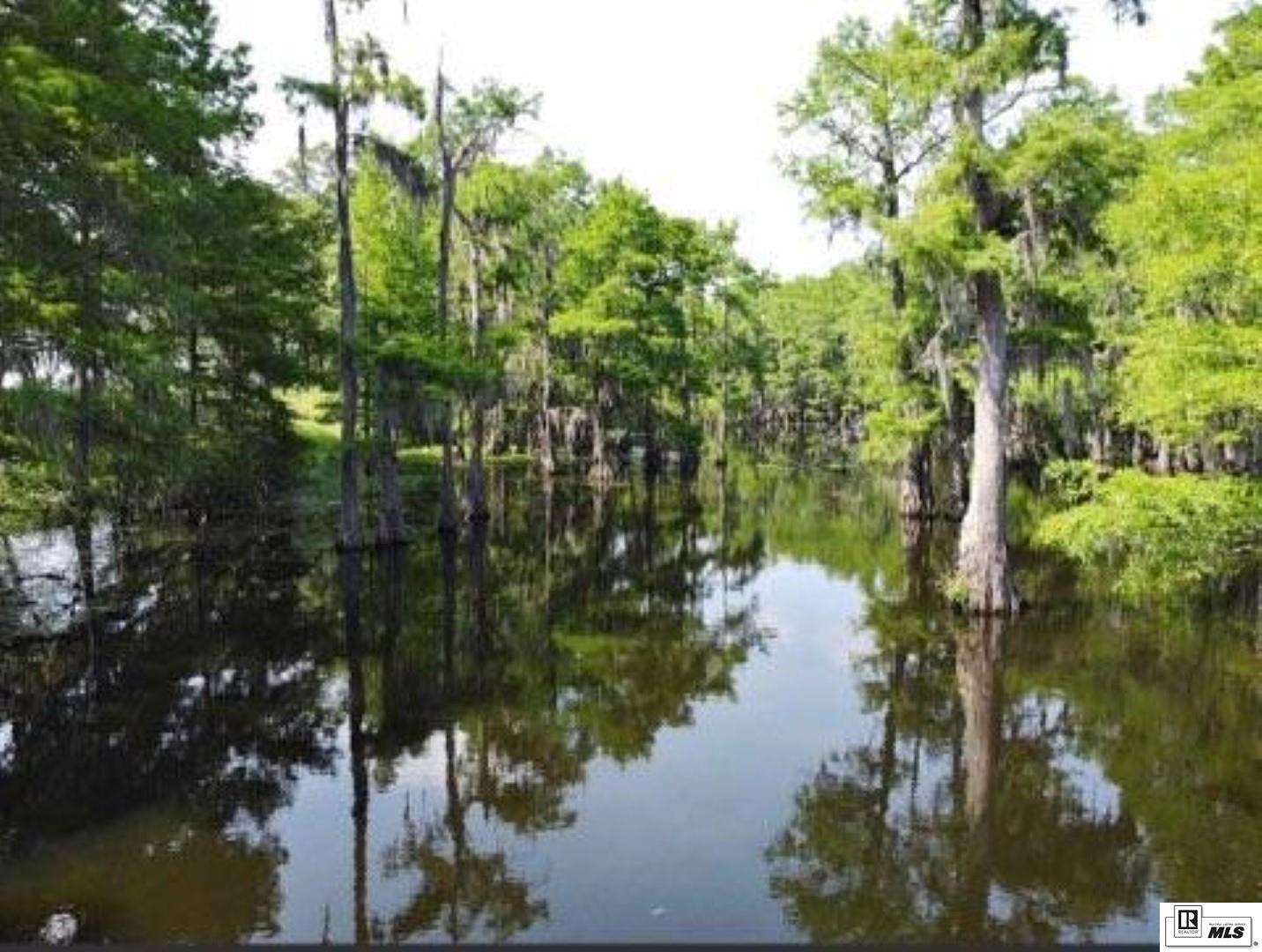 9106 Desiard Trace Lot 55