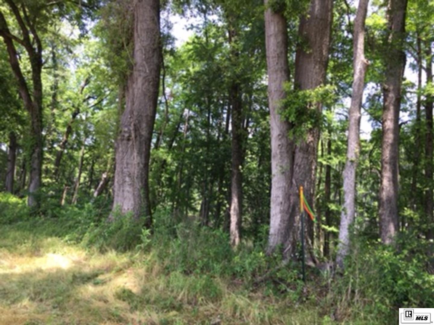 9106 Desiard Trace Lot 55
