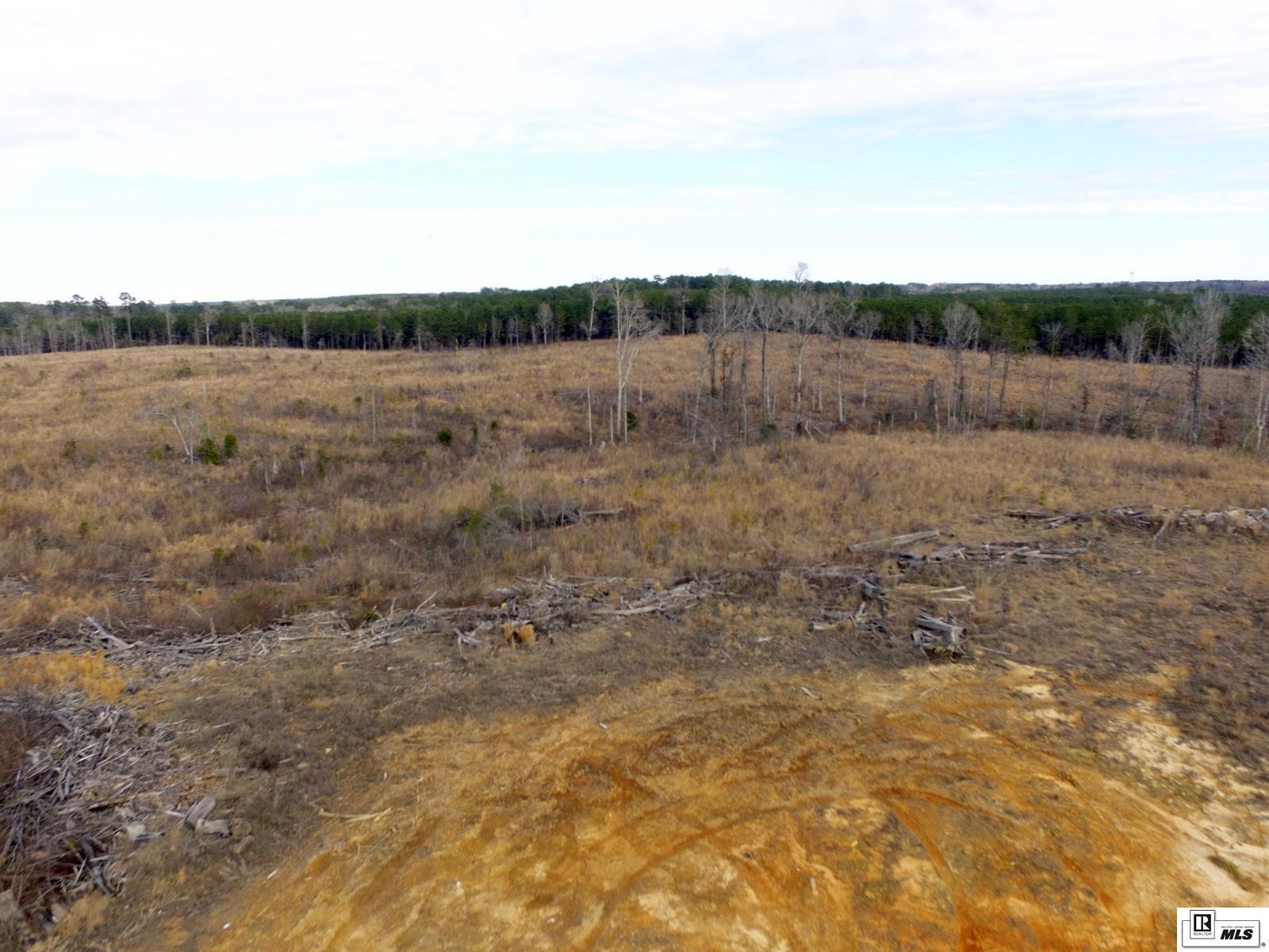 000 John Parker Road Tract A-  39 Ac+/-