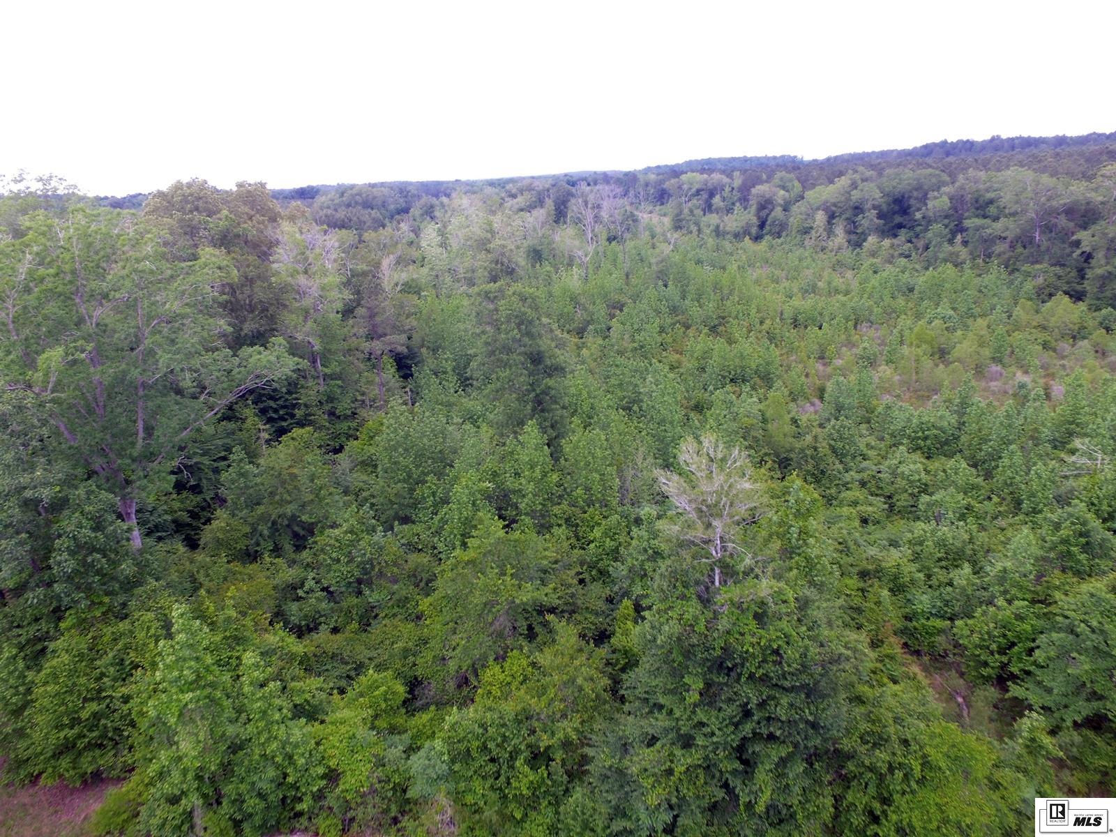 0 Forrest Kay Road