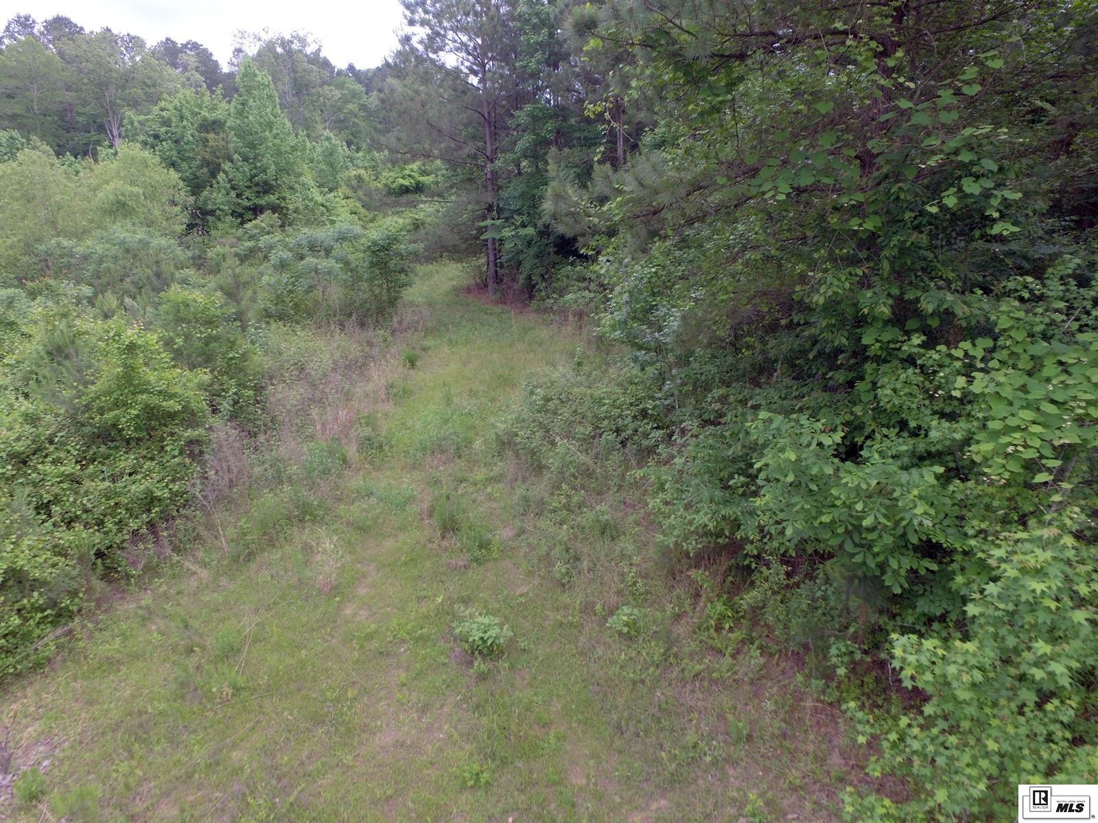 0 Forrest Kay Road