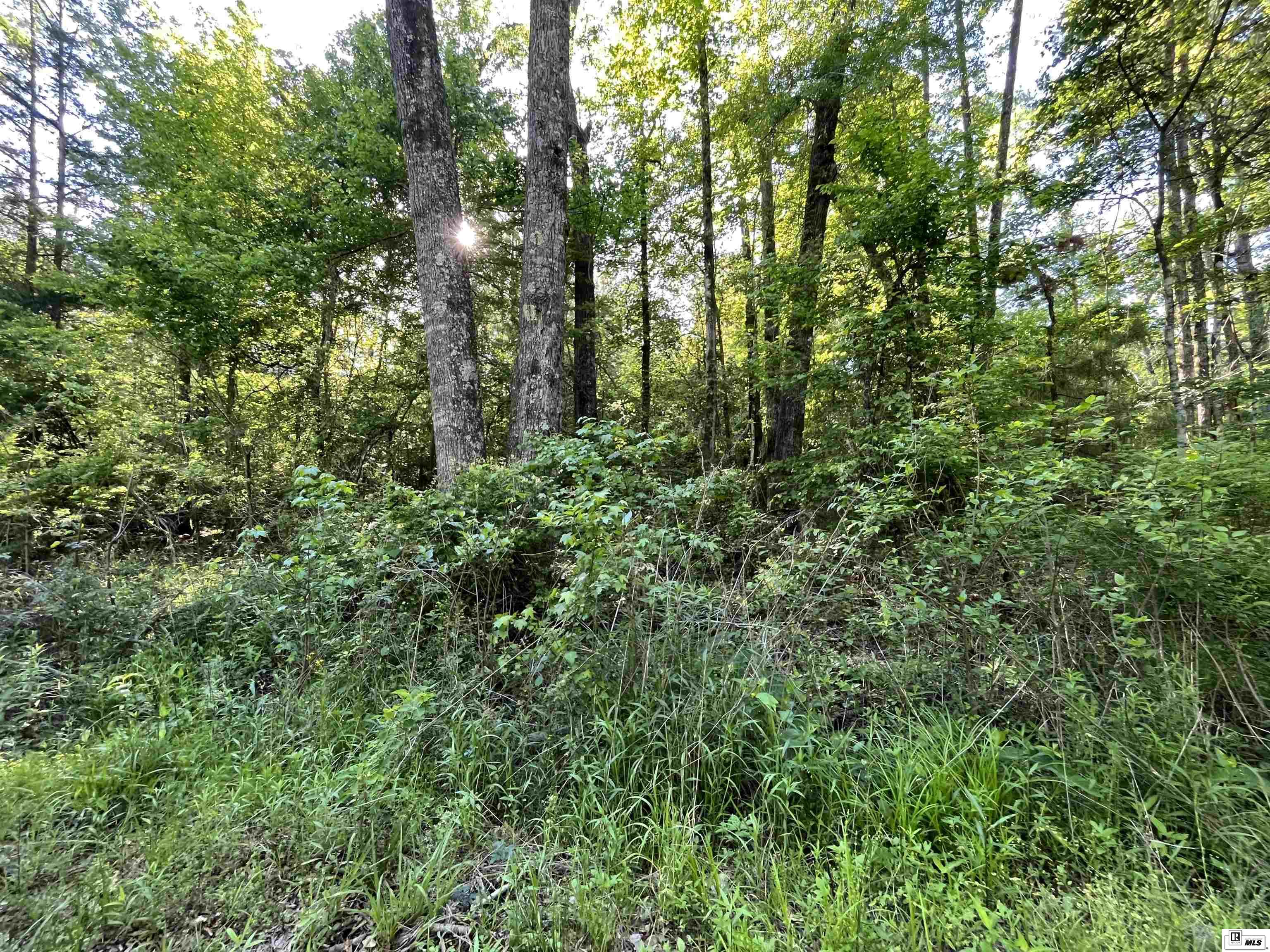 1014 Dan Lenard Road