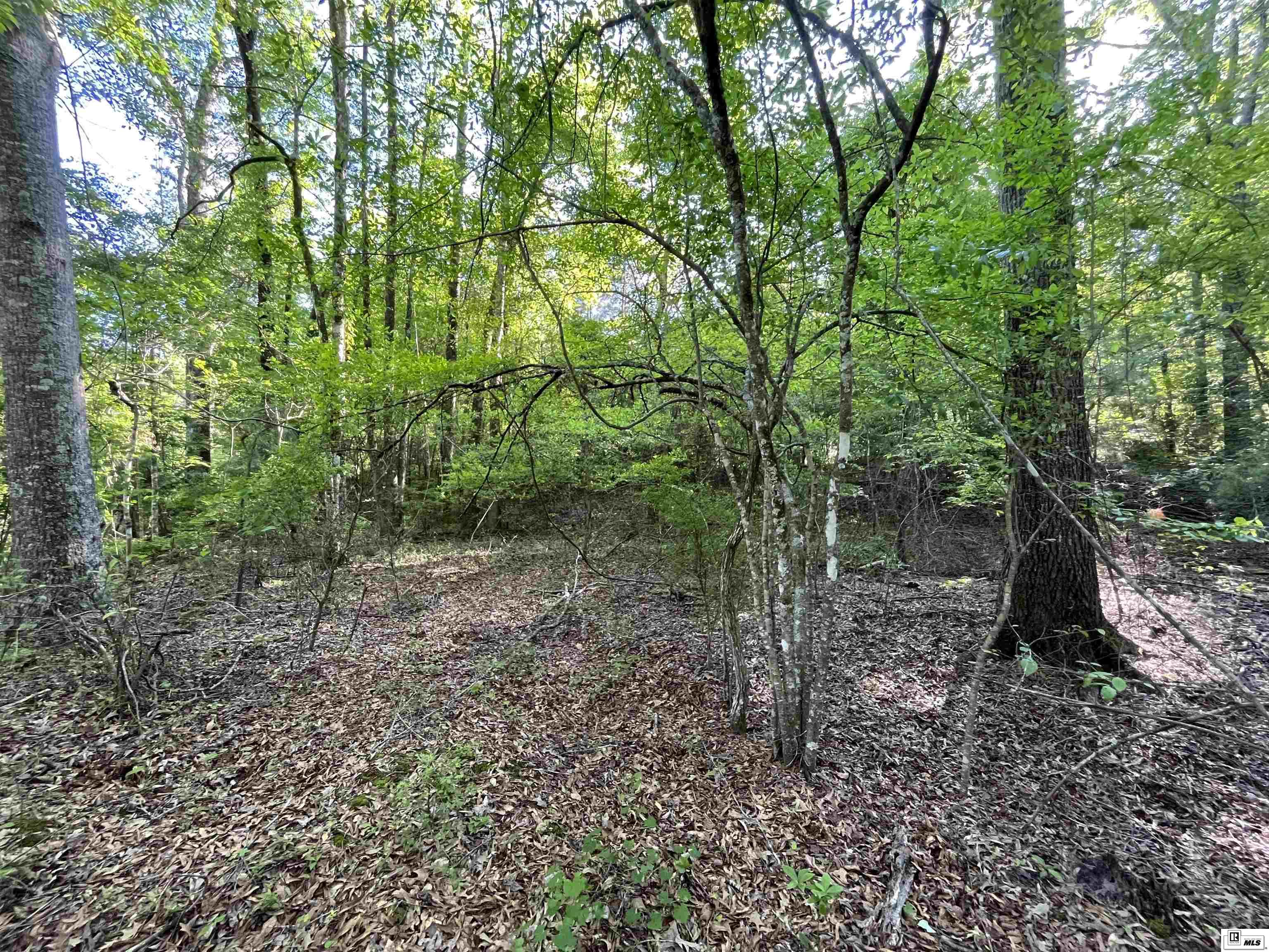 1014 Dan Lenard Road