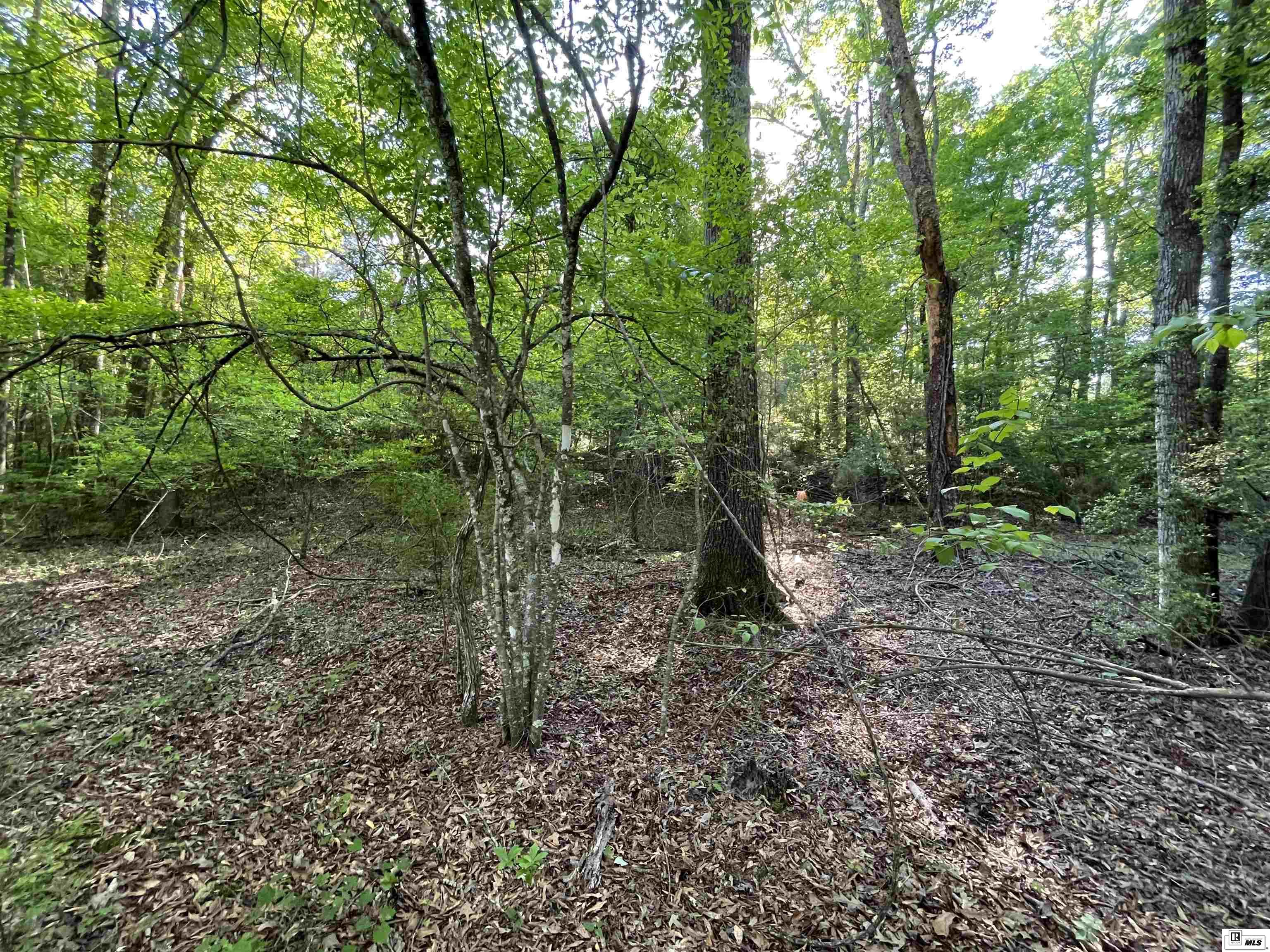 1014 Dan Lenard Road
