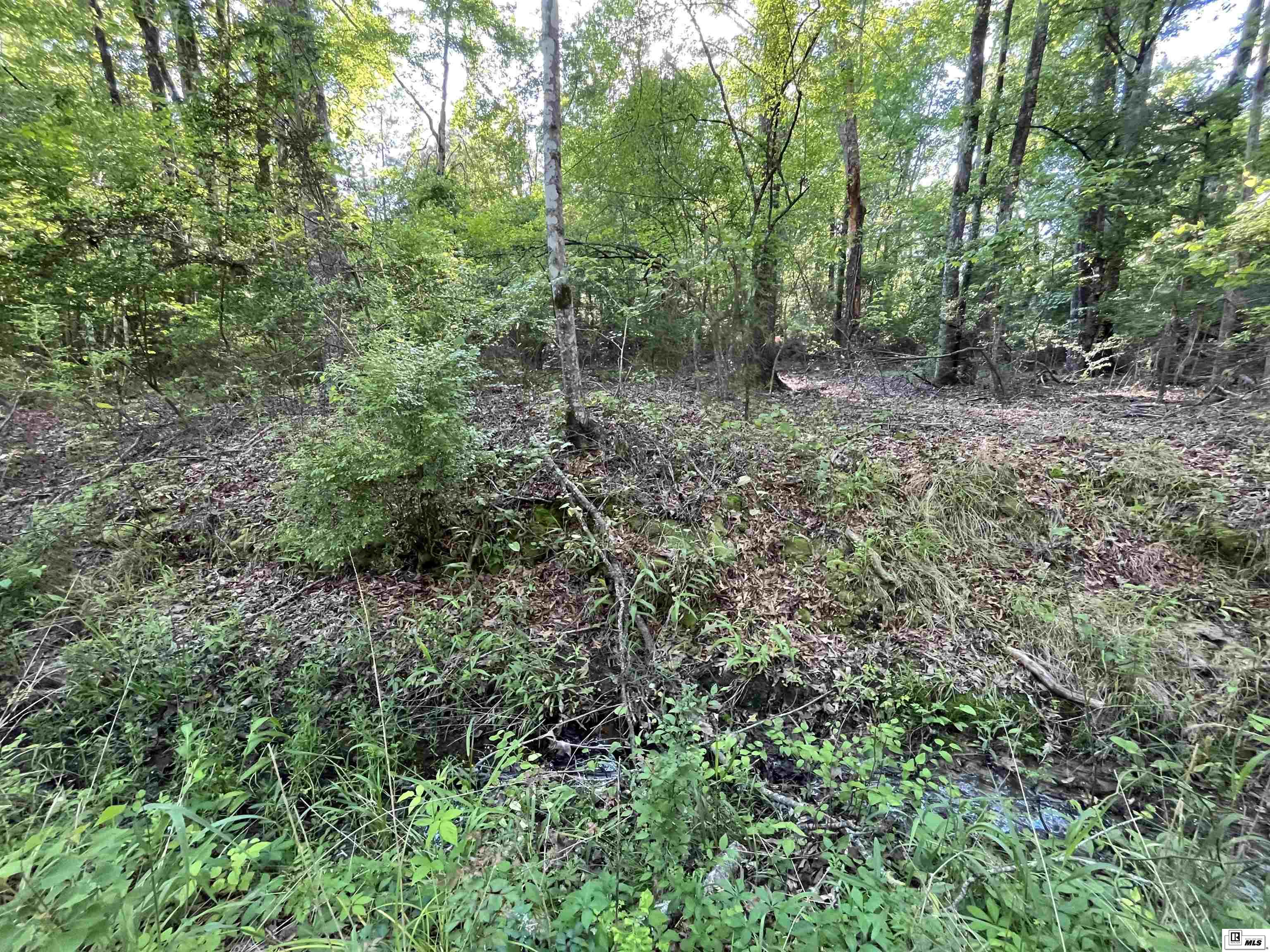 1014 Dan Lenard Road