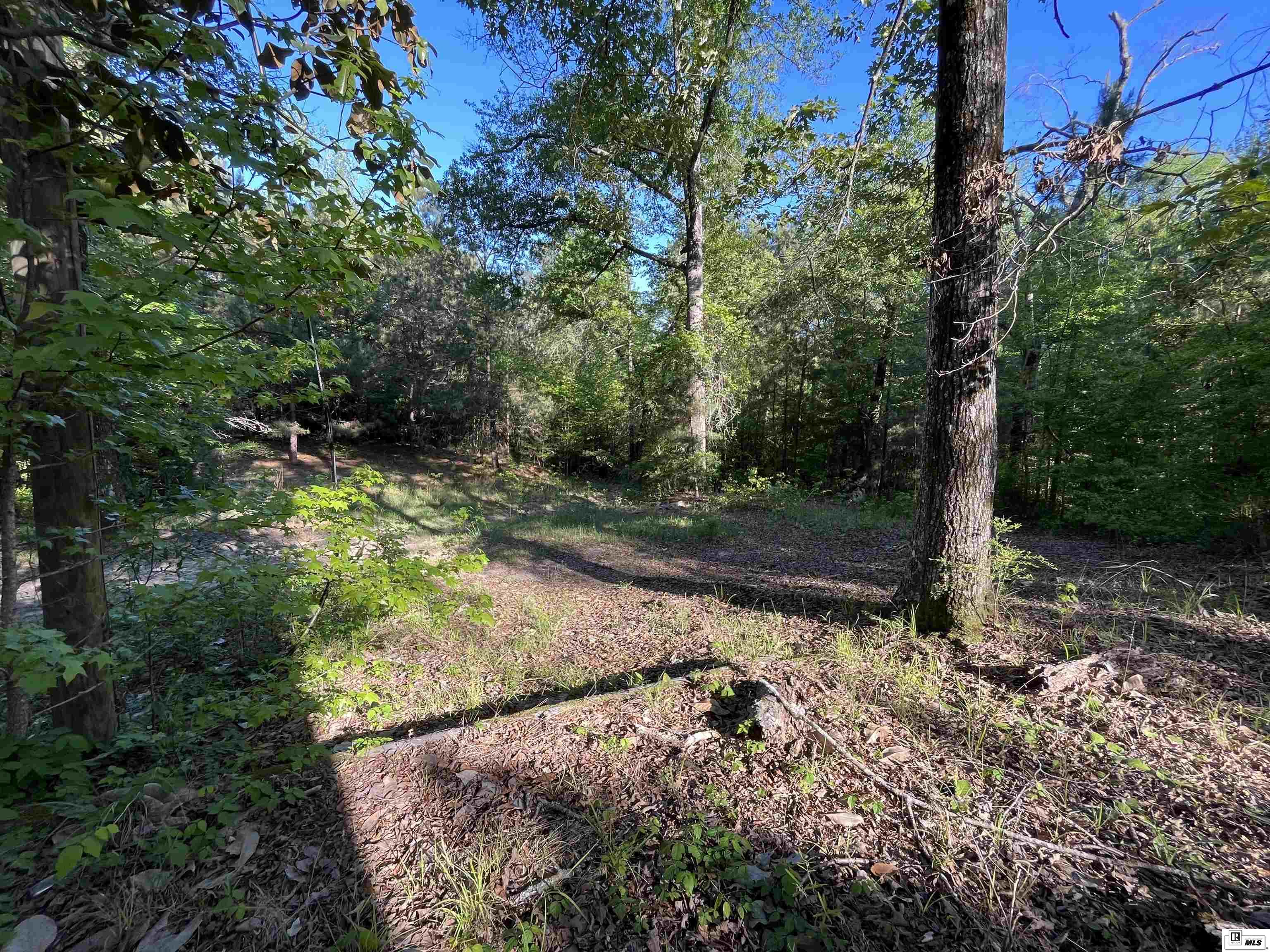 1014 Dan Lenard Road
