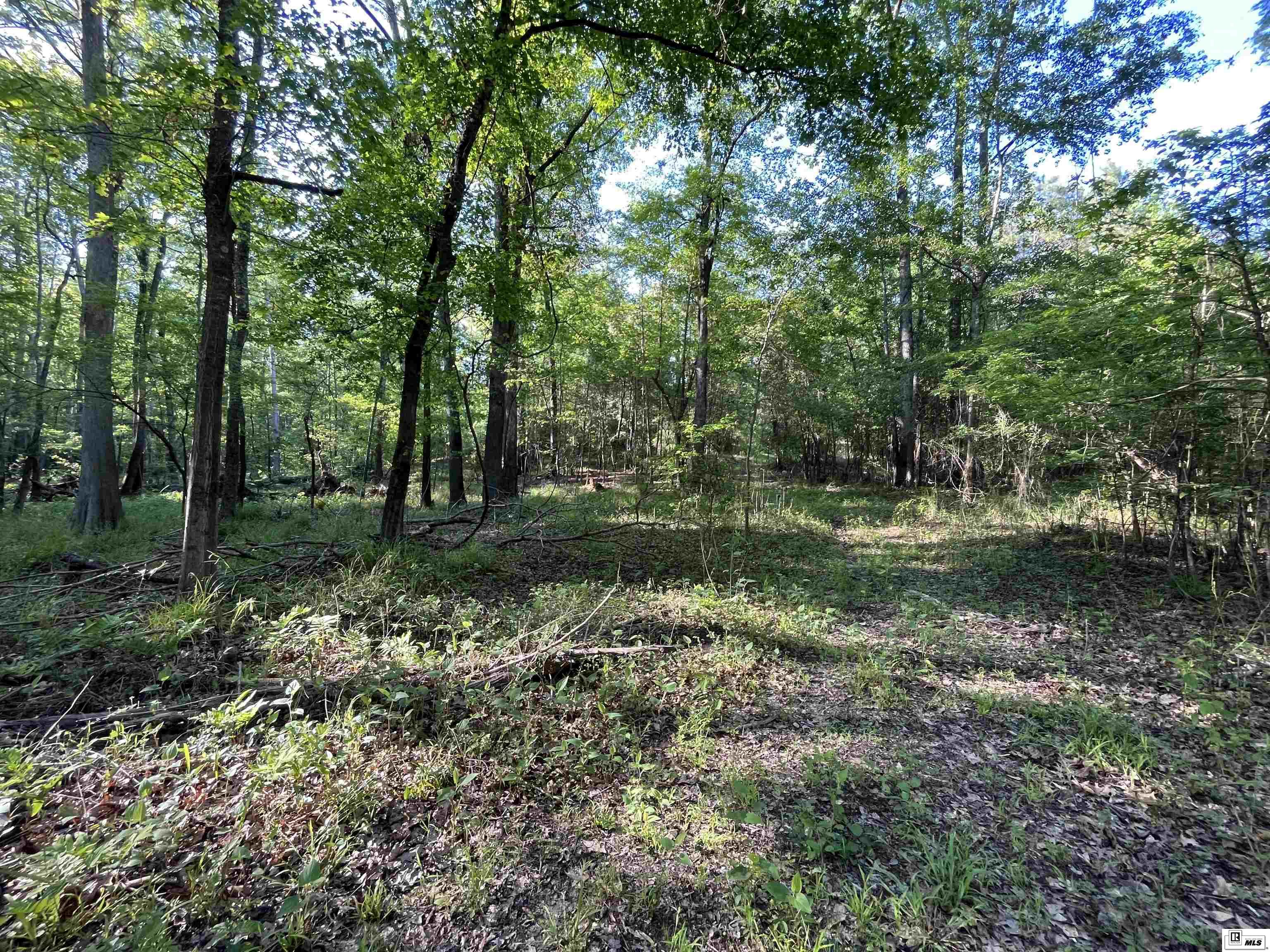 1014 Dan Lenard Road