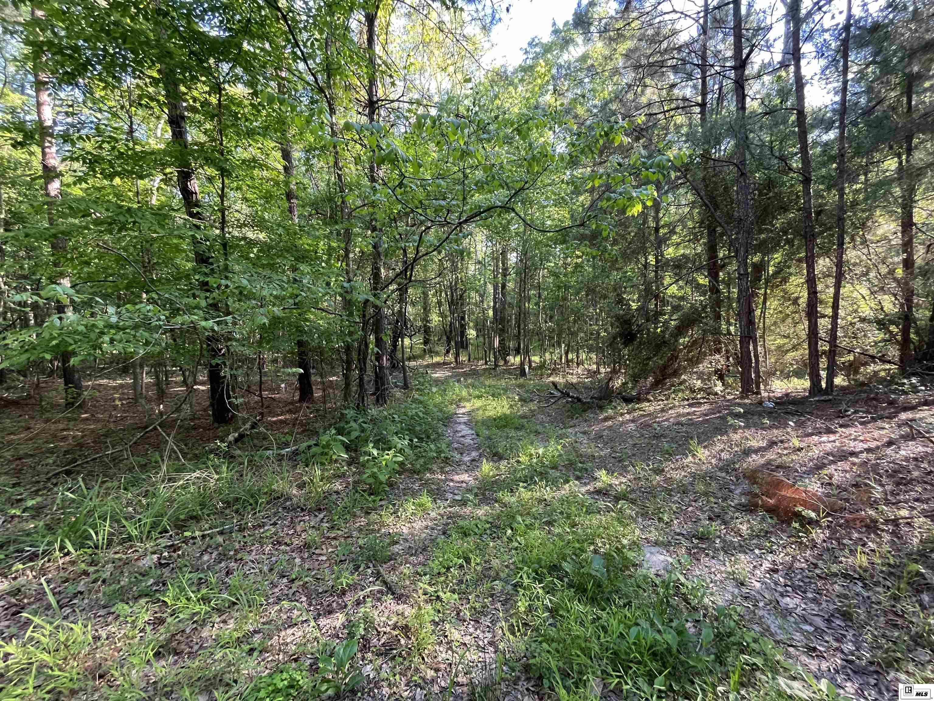 1014 Dan Lenard Road