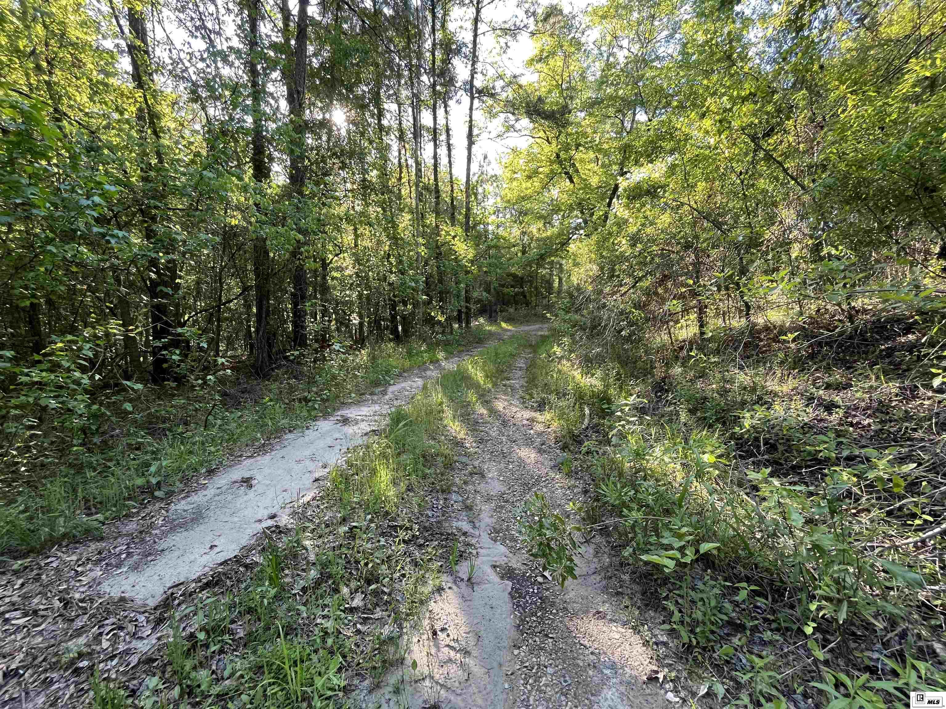 1014 Dan Lenard Road