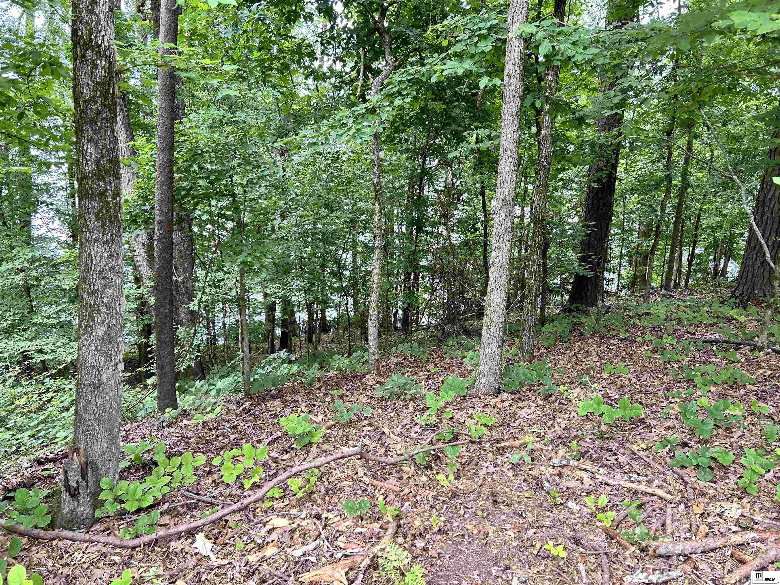000 Scotts Hideaway Road Parcel A