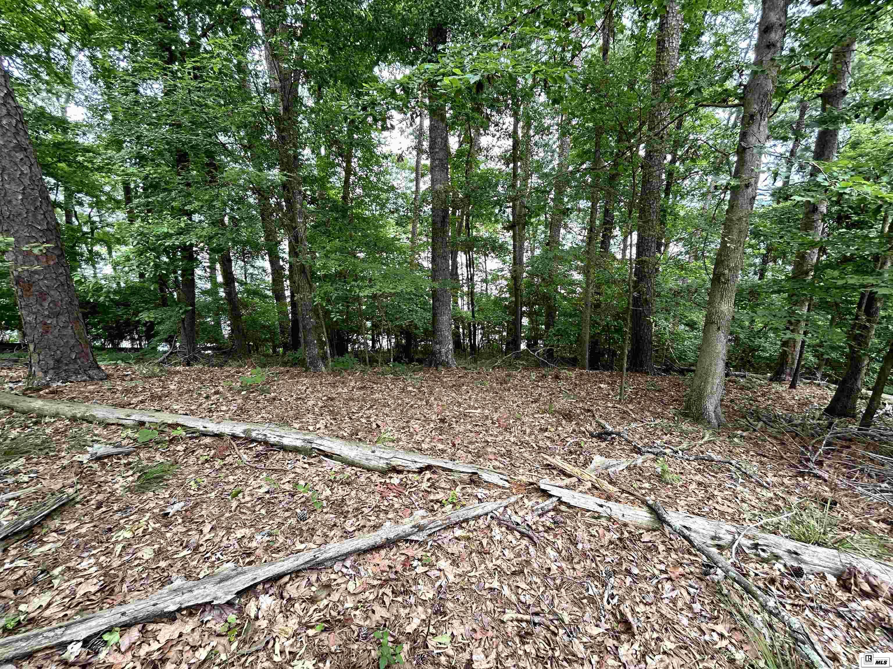000 Scotts Hideaway Road Parcel B