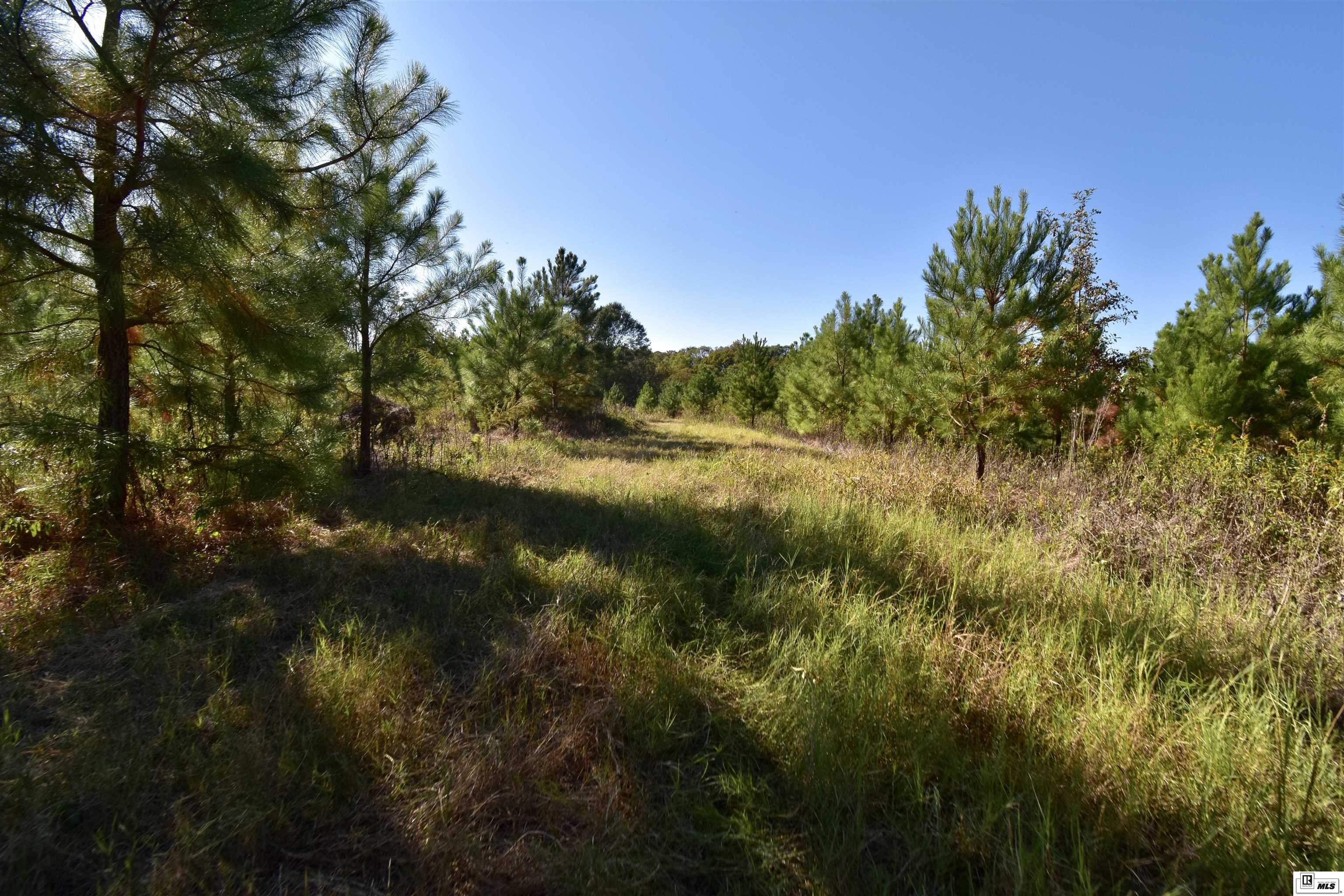 425 Highway 821