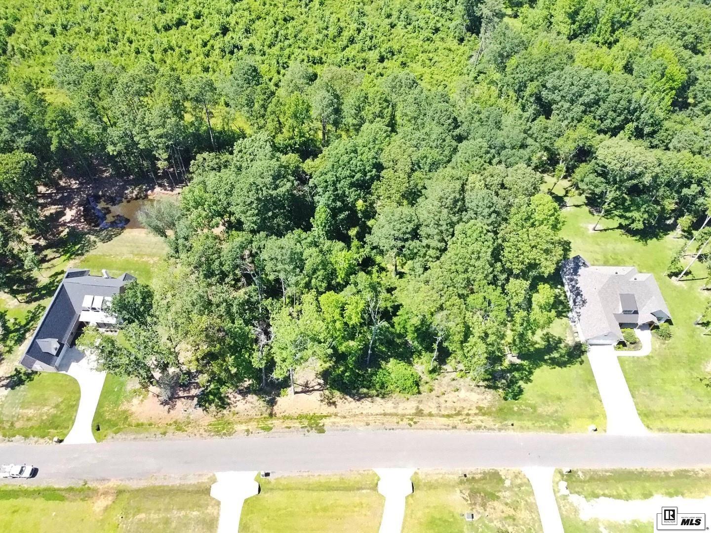 136 Shade Tree