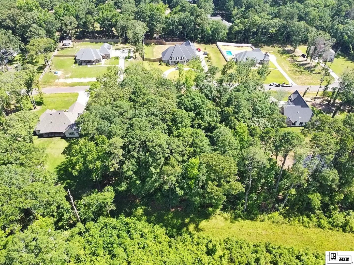 136 Shade Tree