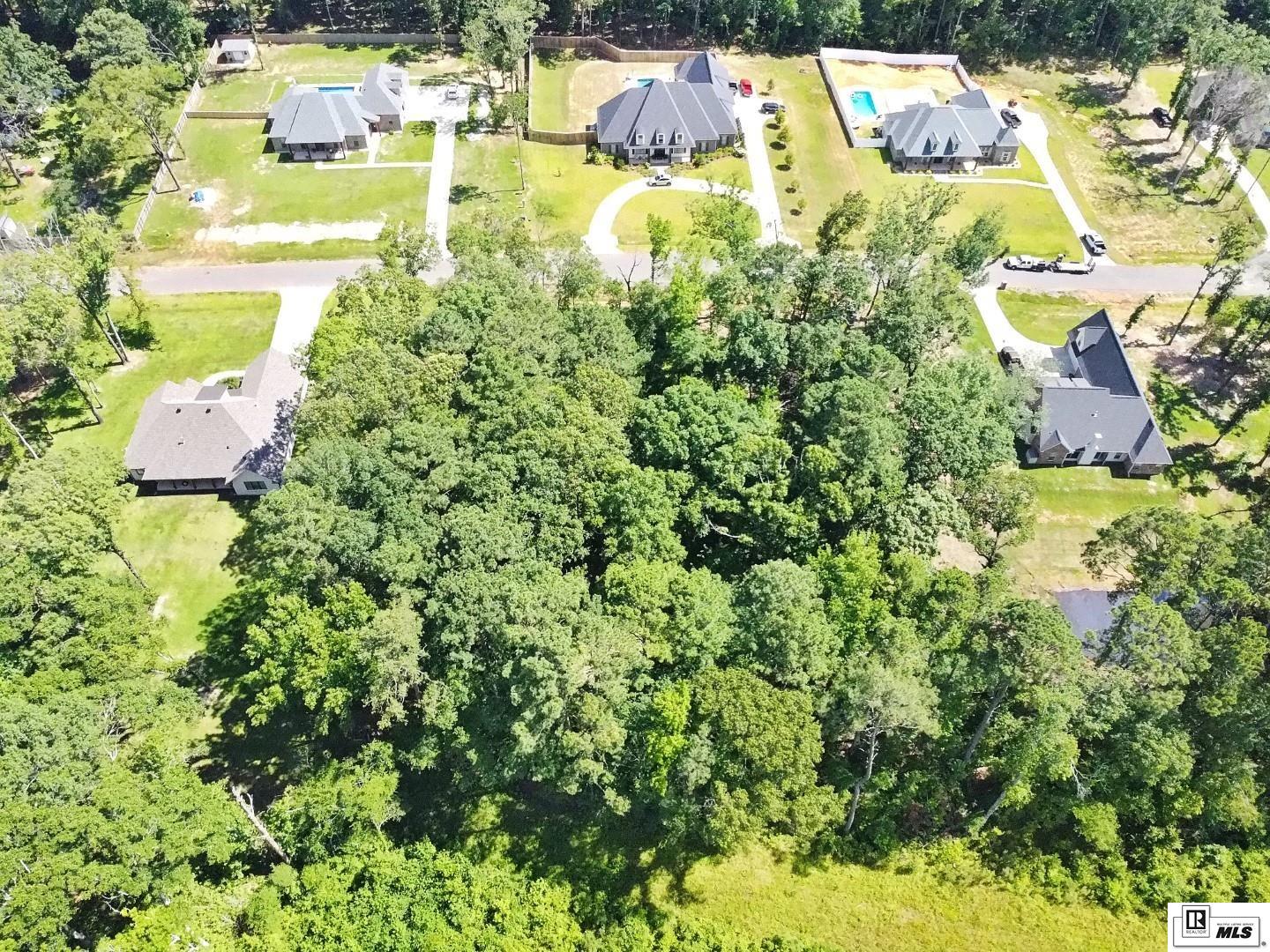 136 Shade Tree