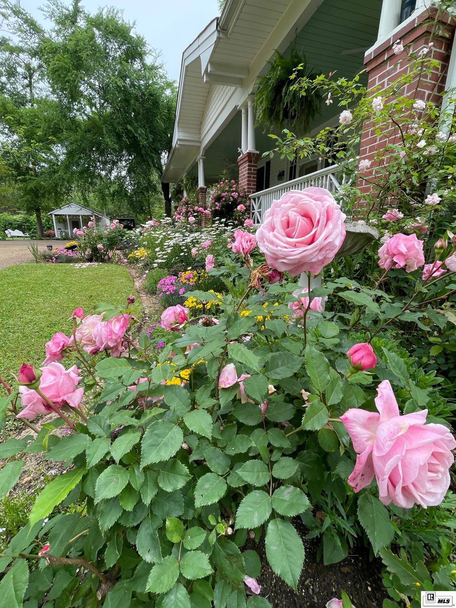 202 Cheatwood Road