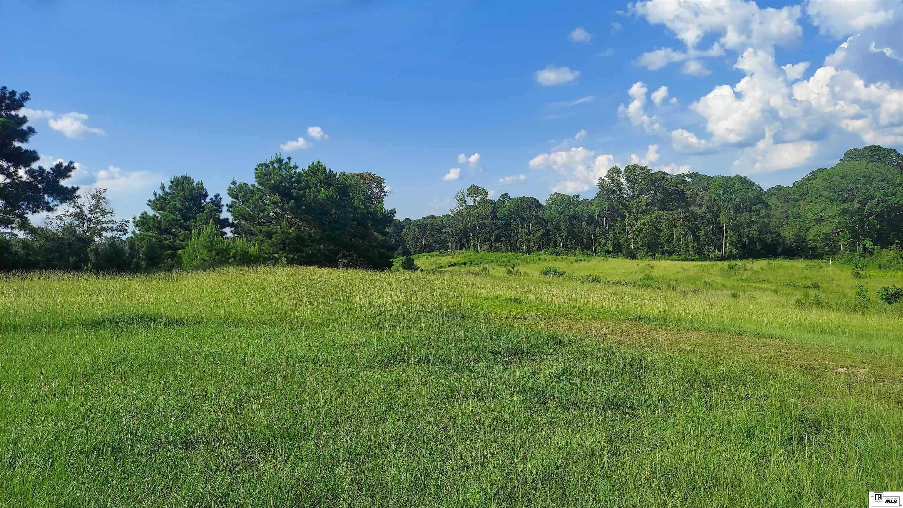 1143 Camp Road