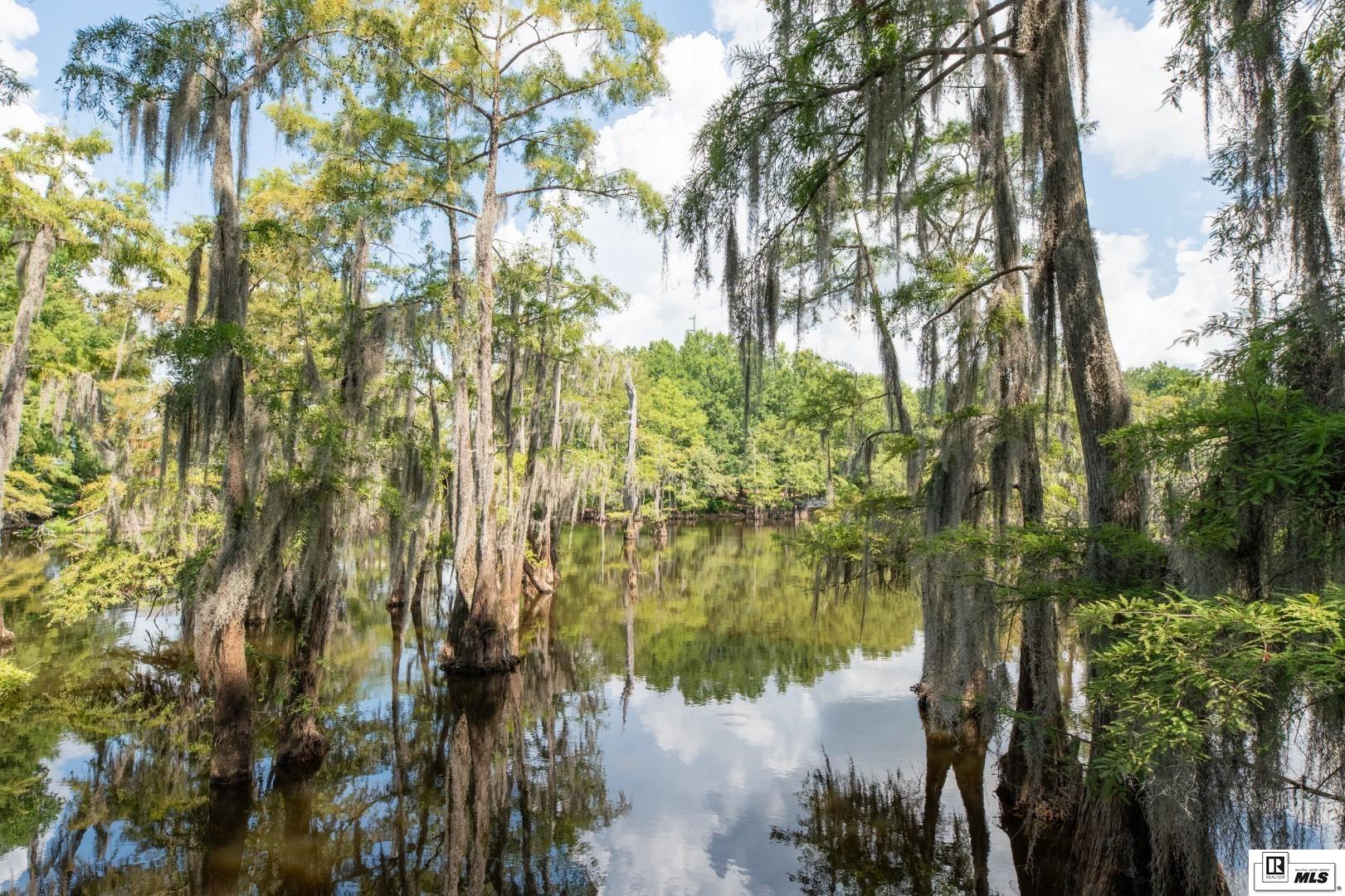 7137 Egret Landing Lot 51