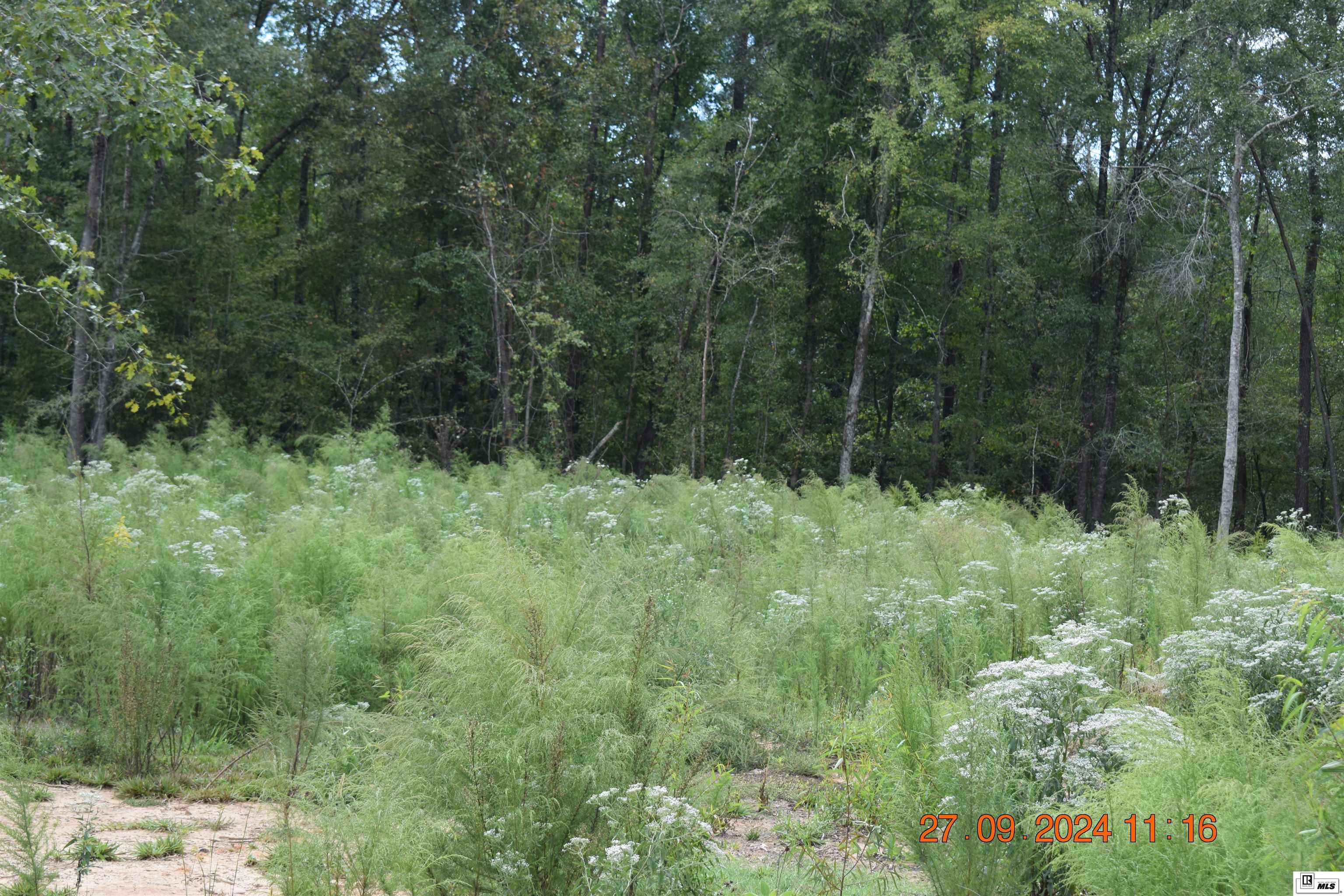 Lot B J Musgrove Road
