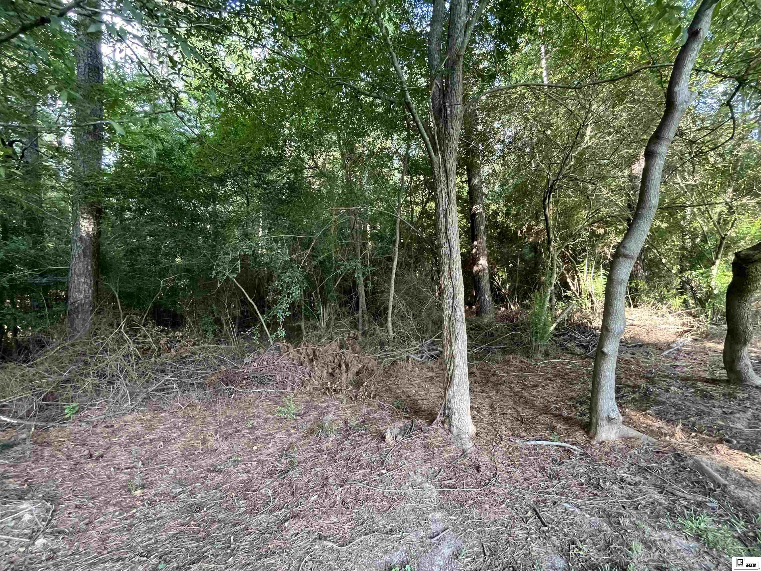 10450 Windhaven Drive