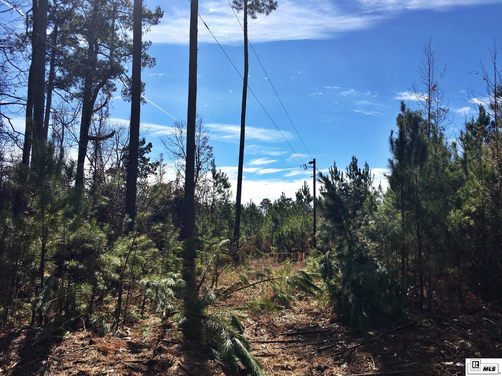 0 Tucker Store Road 110 Ac+/- Tucker Store