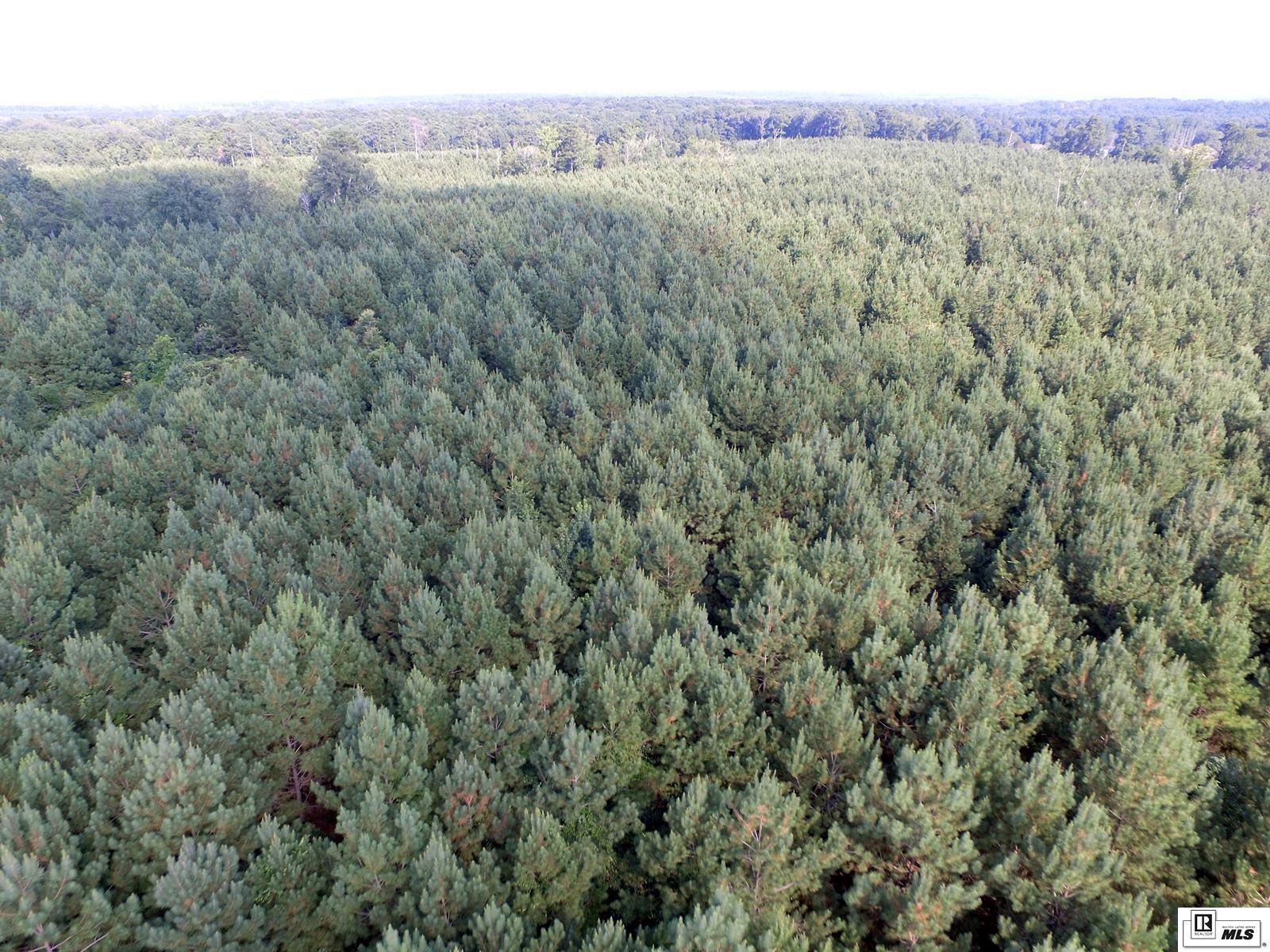 0 Tucker Store Road 110 Ac+/- Tucker Store