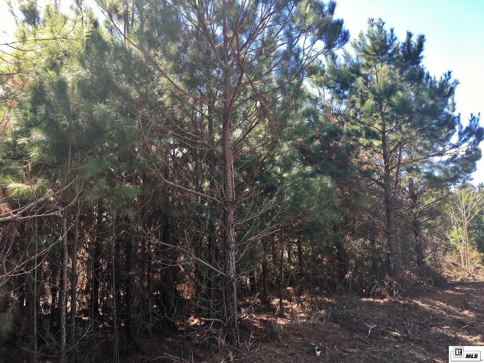 0 Tucker Store Road 28 Ac+/- Tucker Store