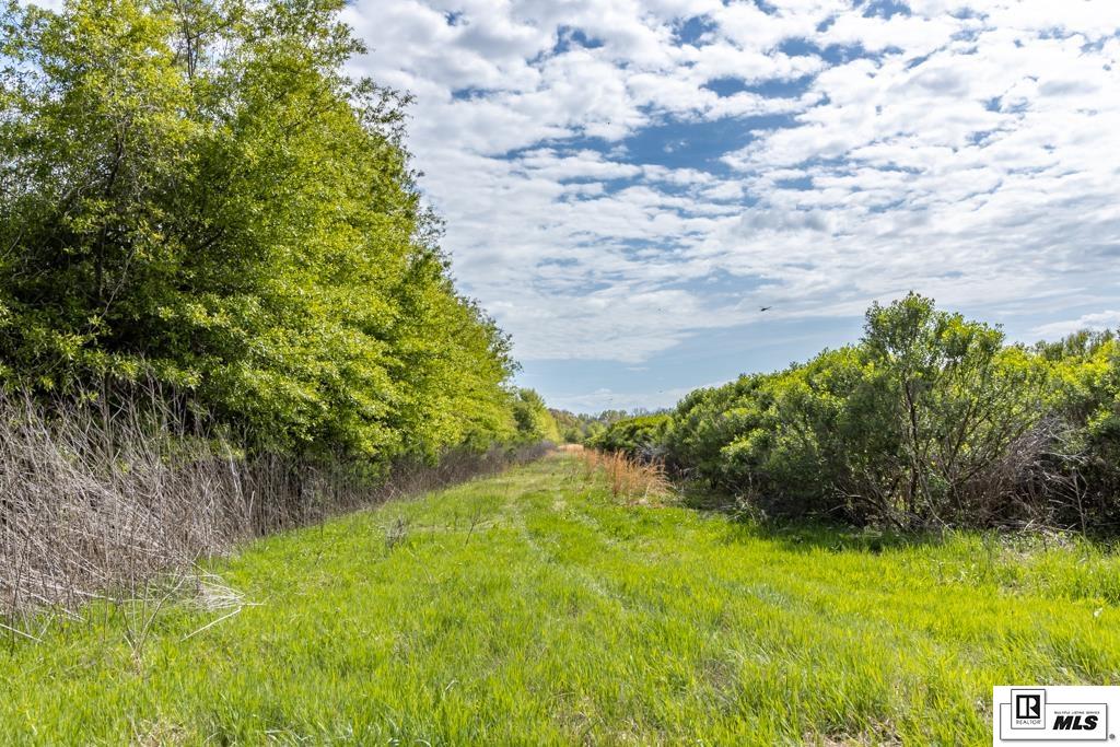 1 Walnut Grove Road