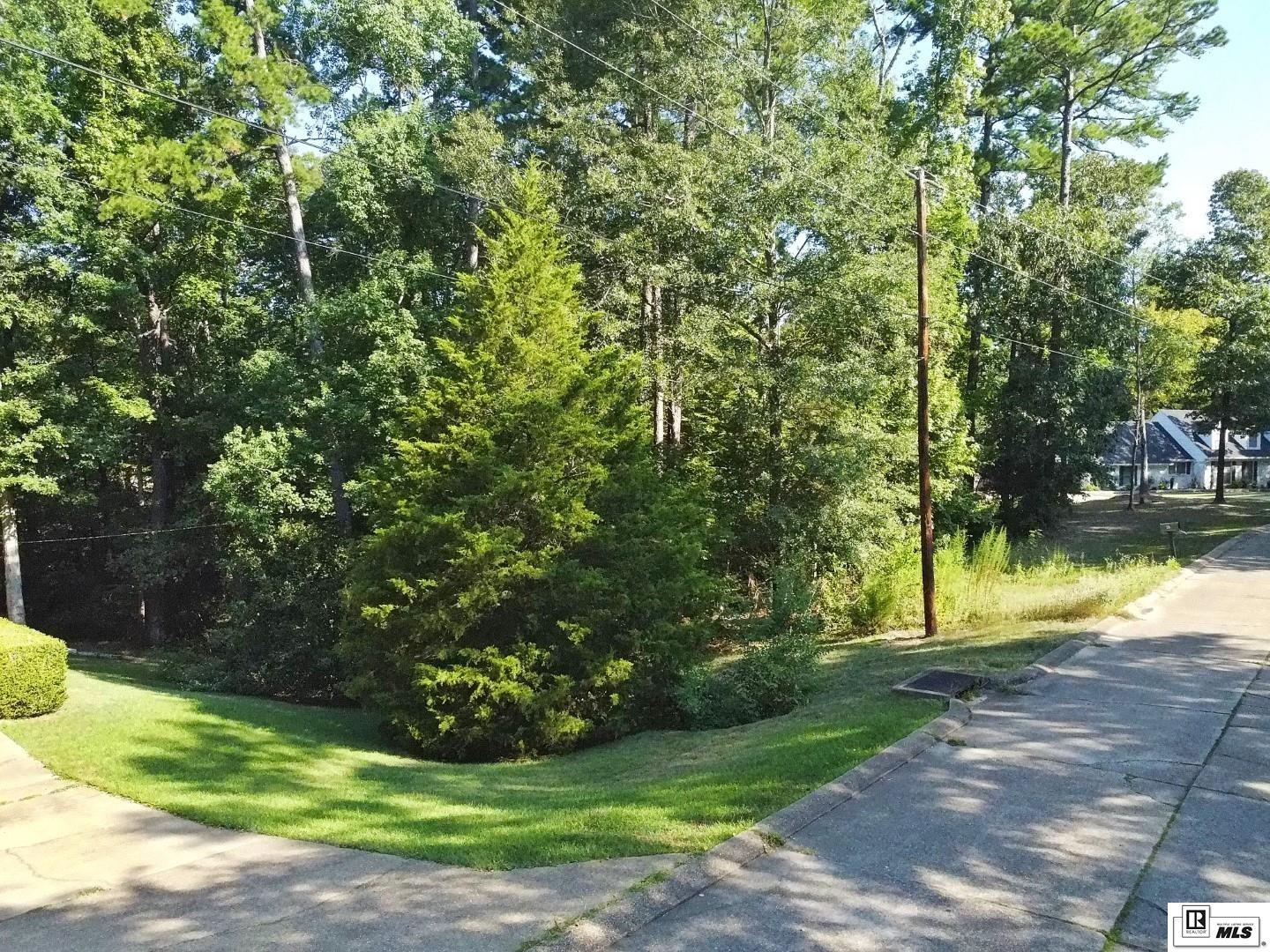 00 Cheyenne Drive