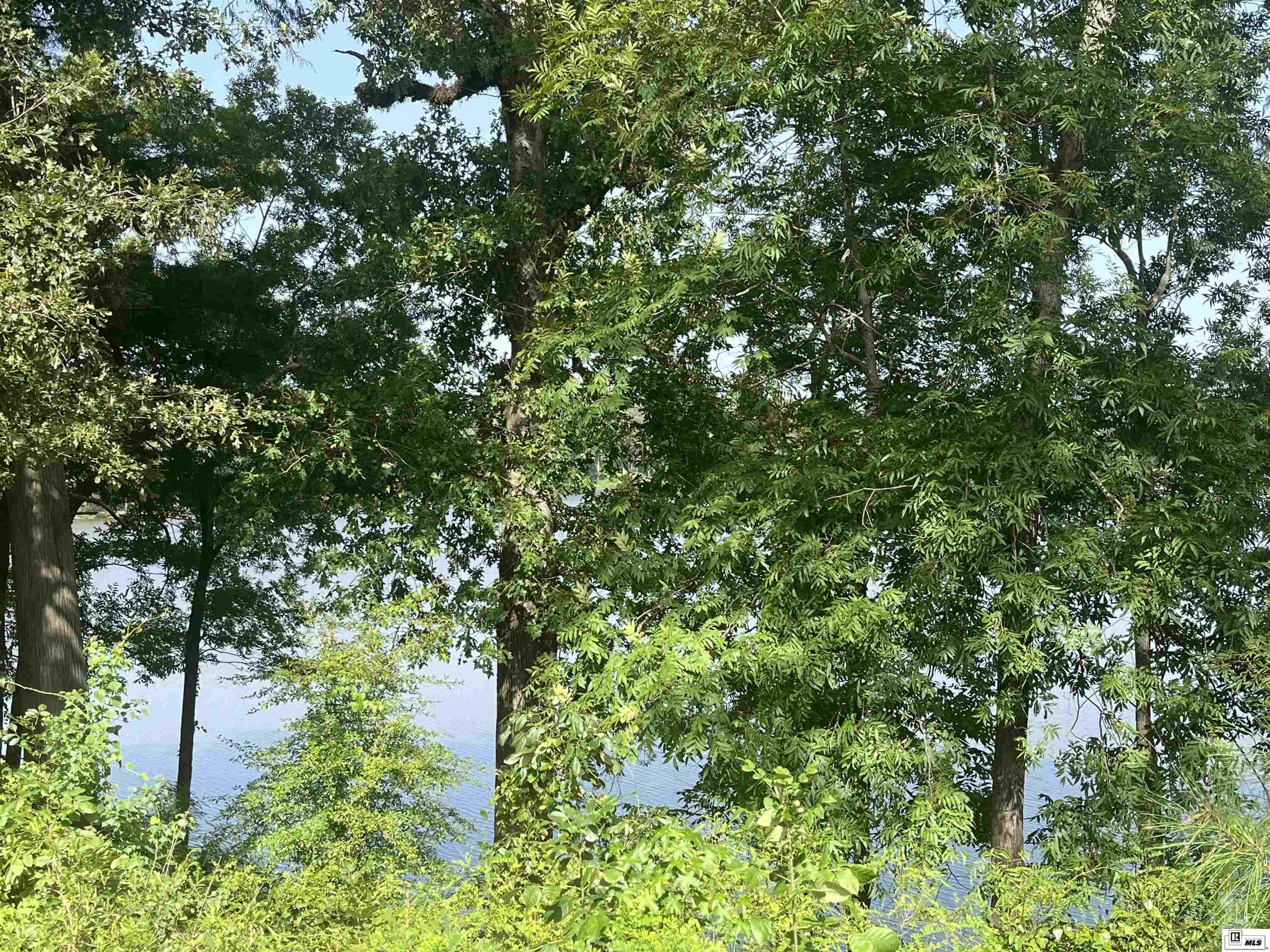 Lot 3 & 3A Loch Lomand Drive