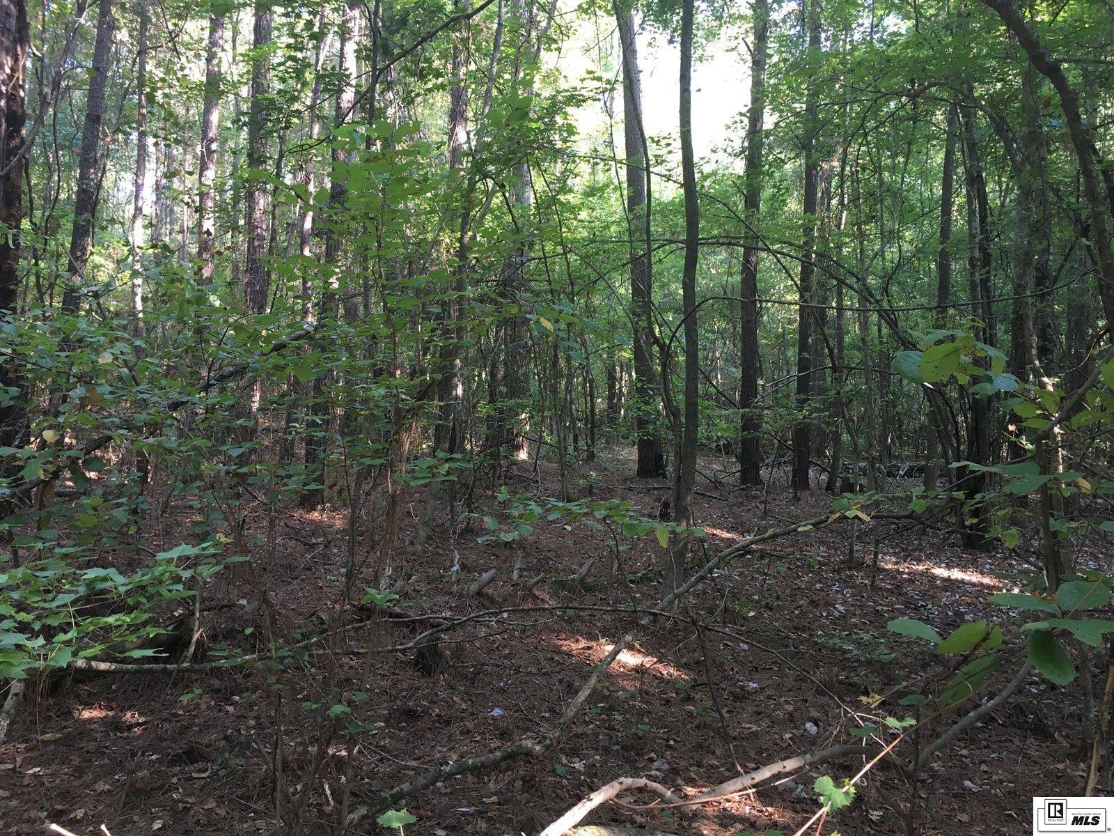 000 Highway 552 4.8 Ac+/- South Of Hwy