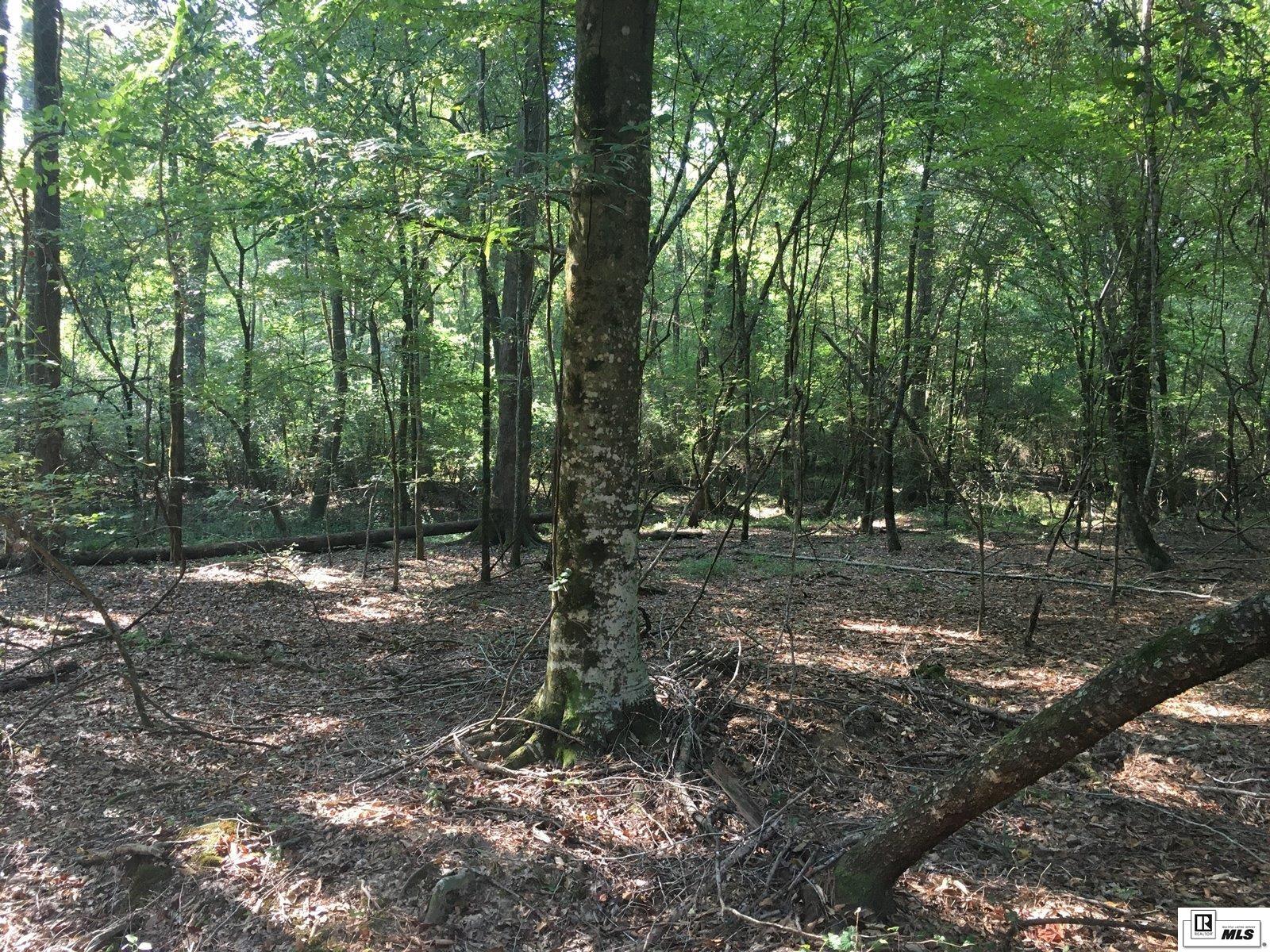000 Highway 552 15.4 Ac+/- North Of Hwy
