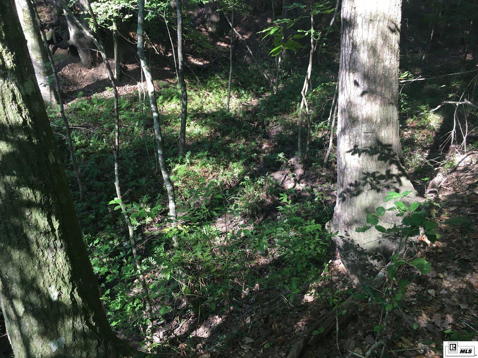 000 Highway 552 15.4 Ac+/- North Of Hwy